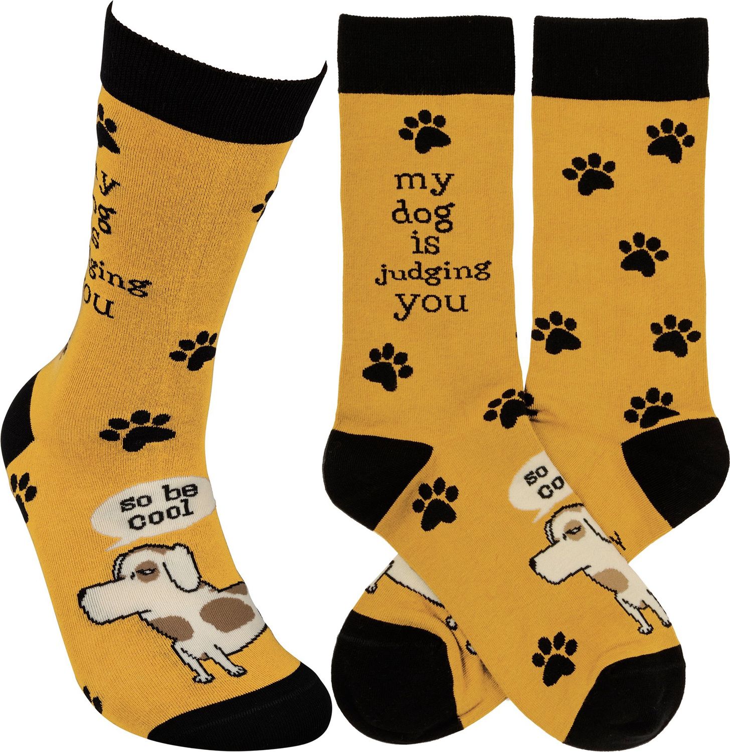 Socks - Dog Is Judging