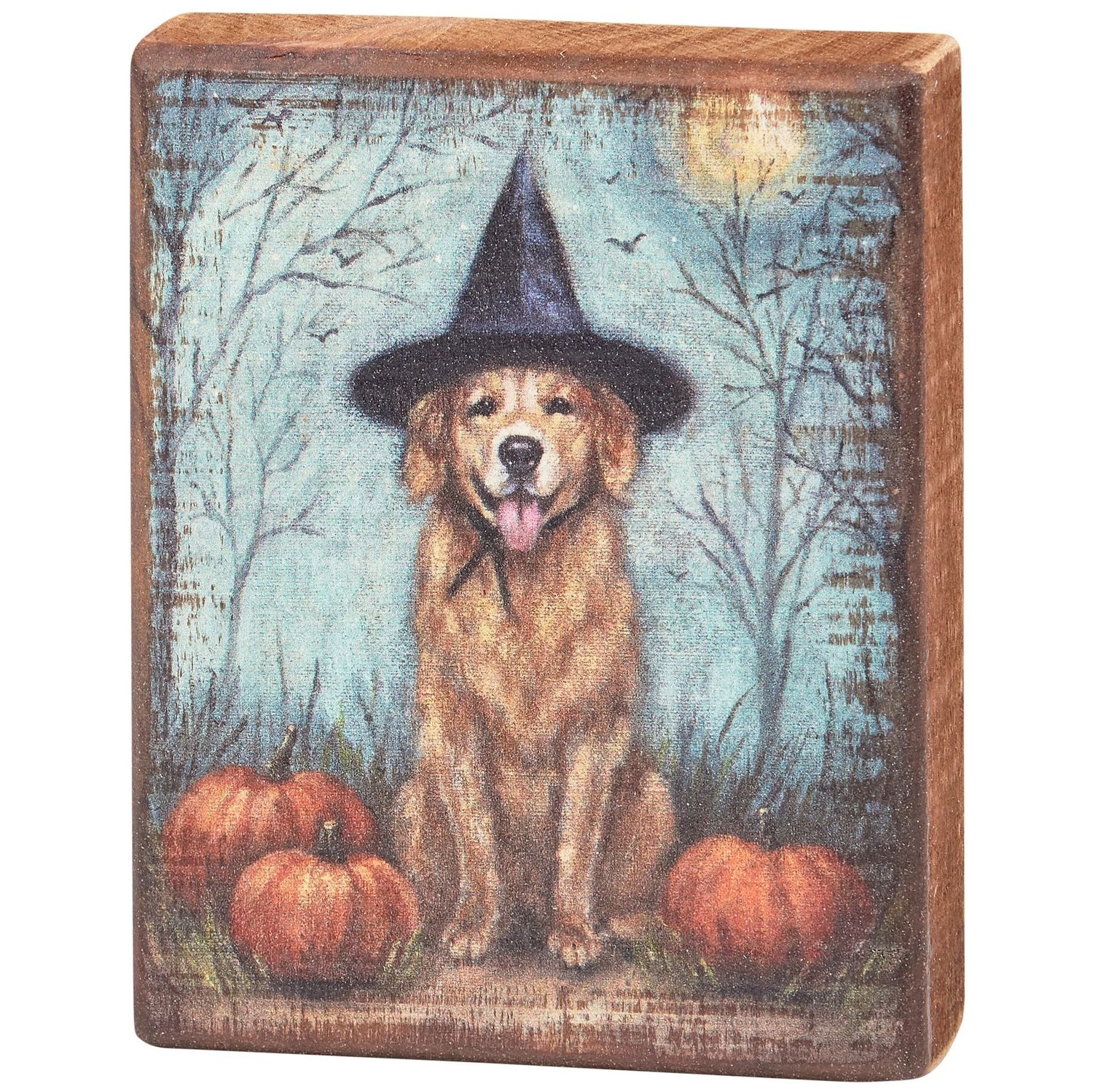 Block Sign - Dog As Witch