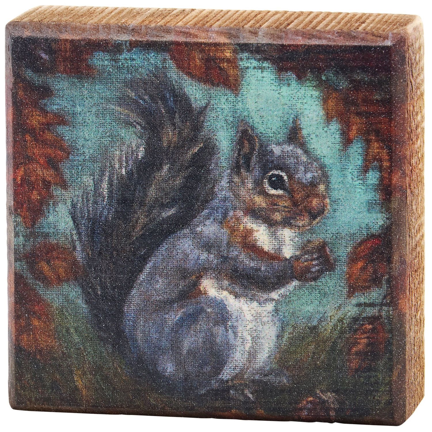 Block Sign - Curious Squirrel