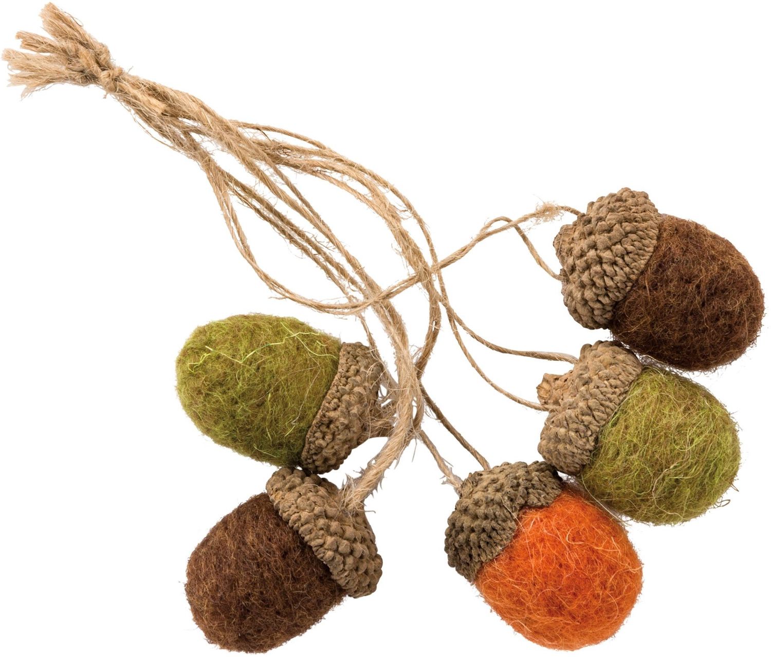 Acorn Stringed Set