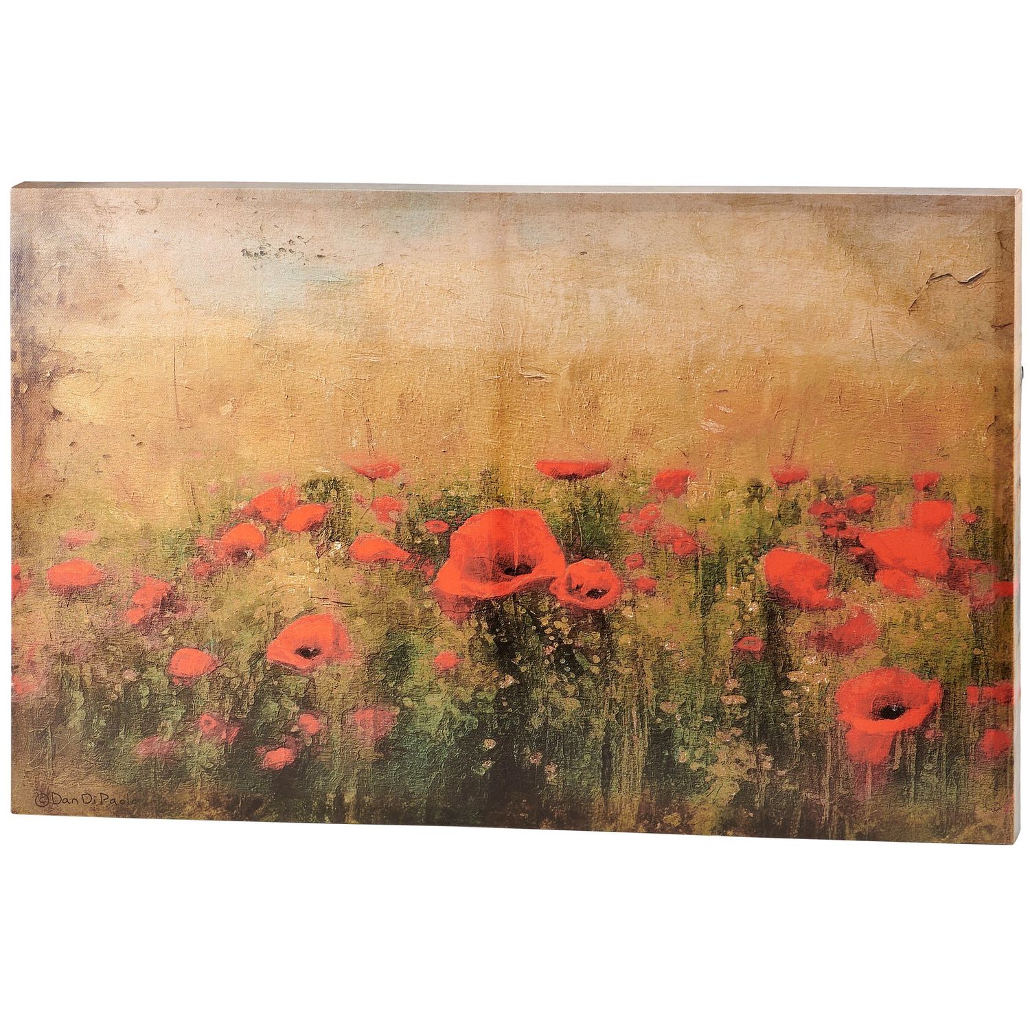 Canvas Wall Art - Poppy Field - 30" X 20"