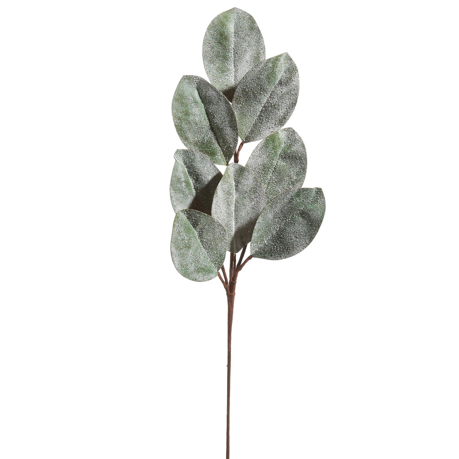 Iced Magnolia Leaf Spray - 25.75"