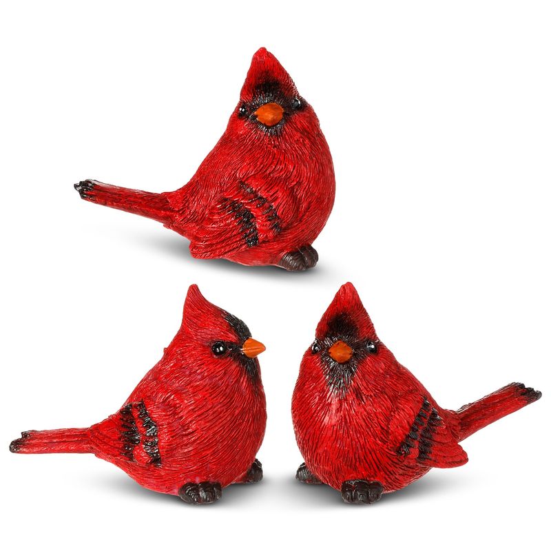 Birds