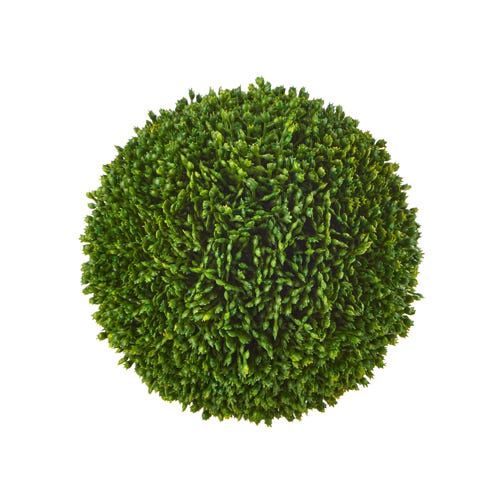 Sedum Ball - 5.5" - Green