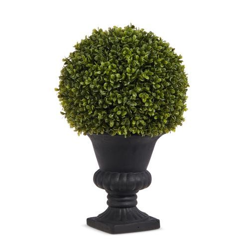 Boxwood Potted Topiary- 16"