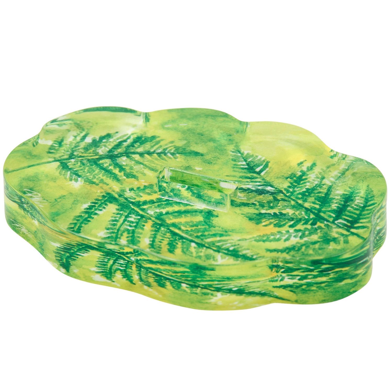 Acrylic Base Fern Single