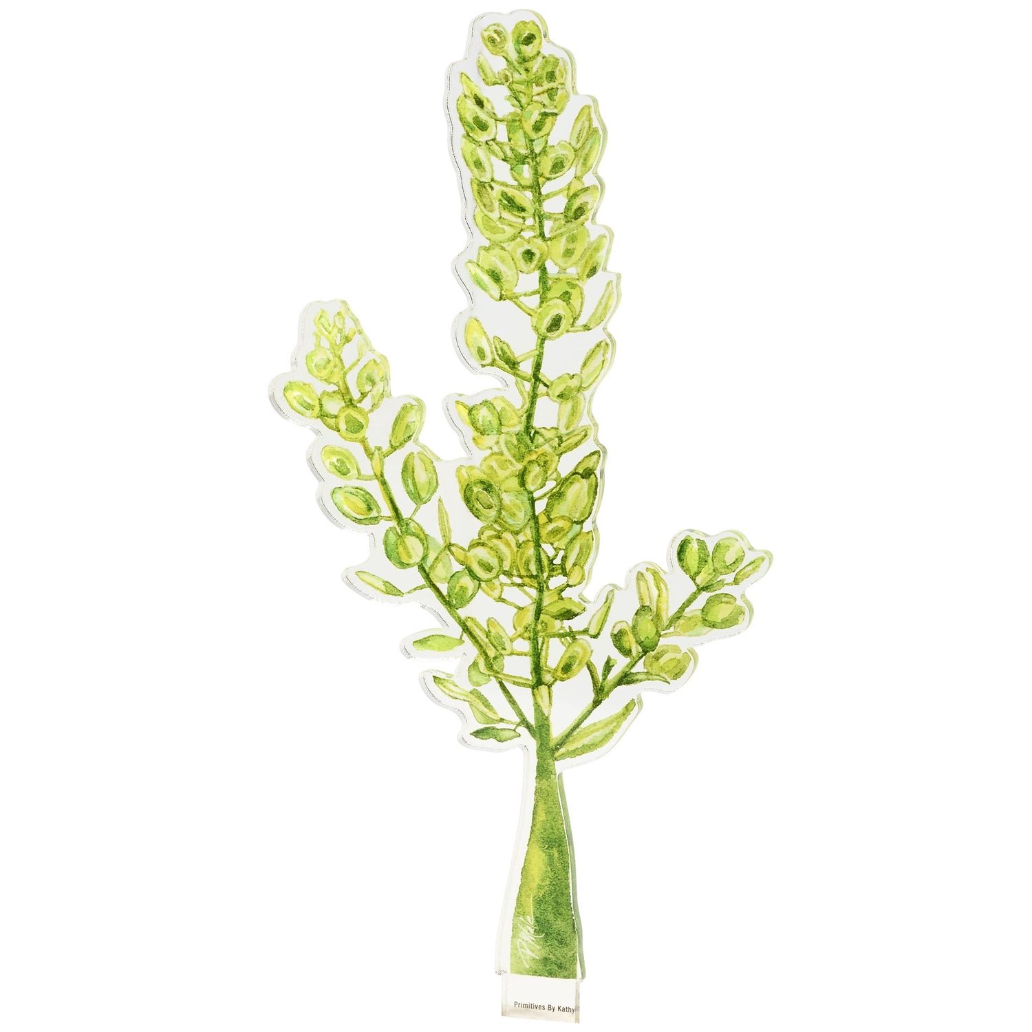 Acrylic Stem Pennycress