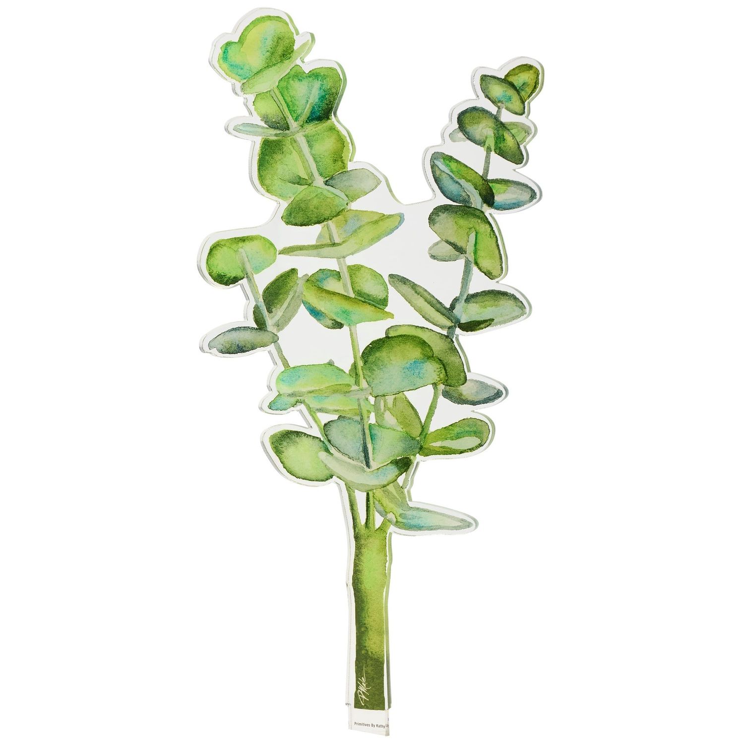 Acrylic Stem Eucalyptus
