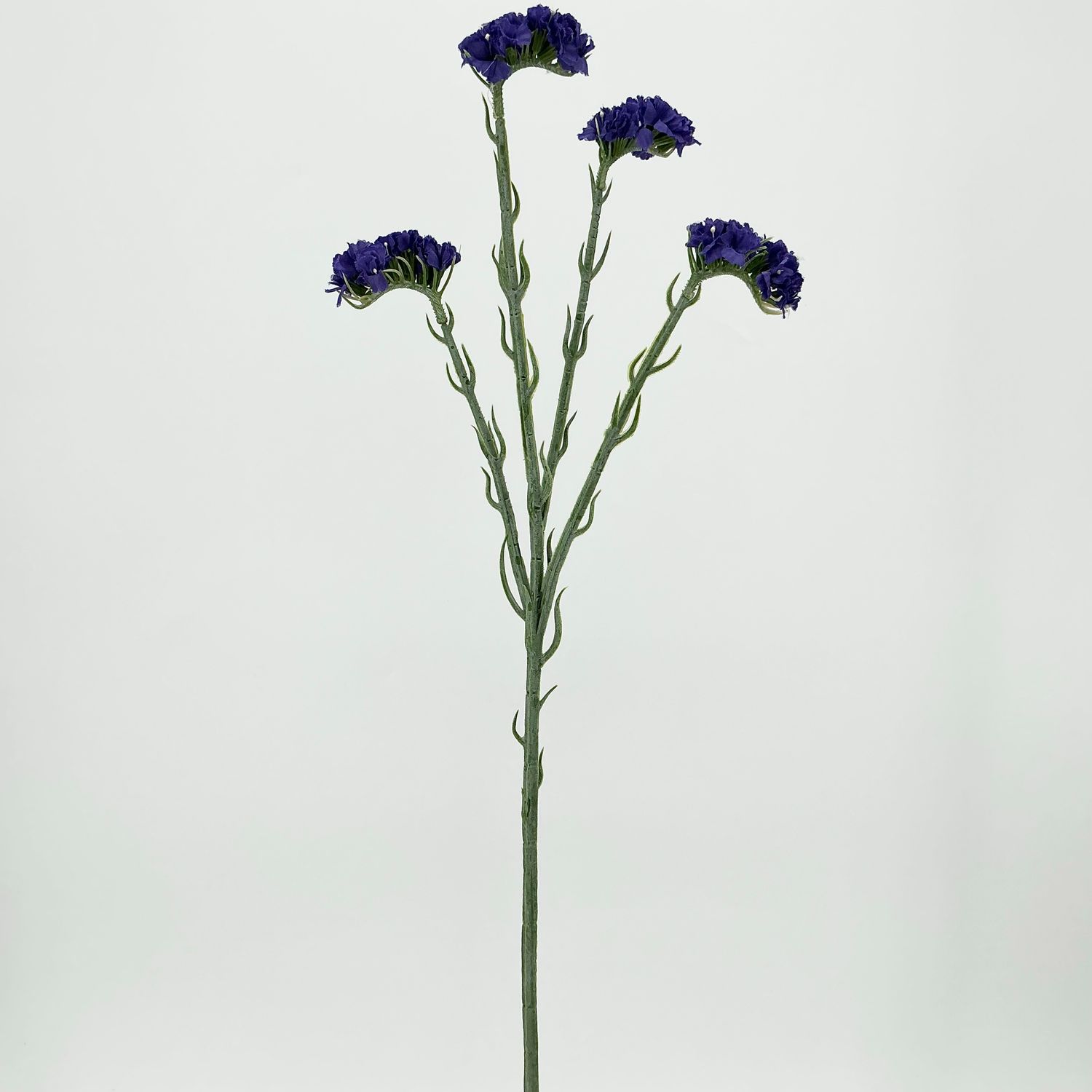 Statice - 25.5" - Purple