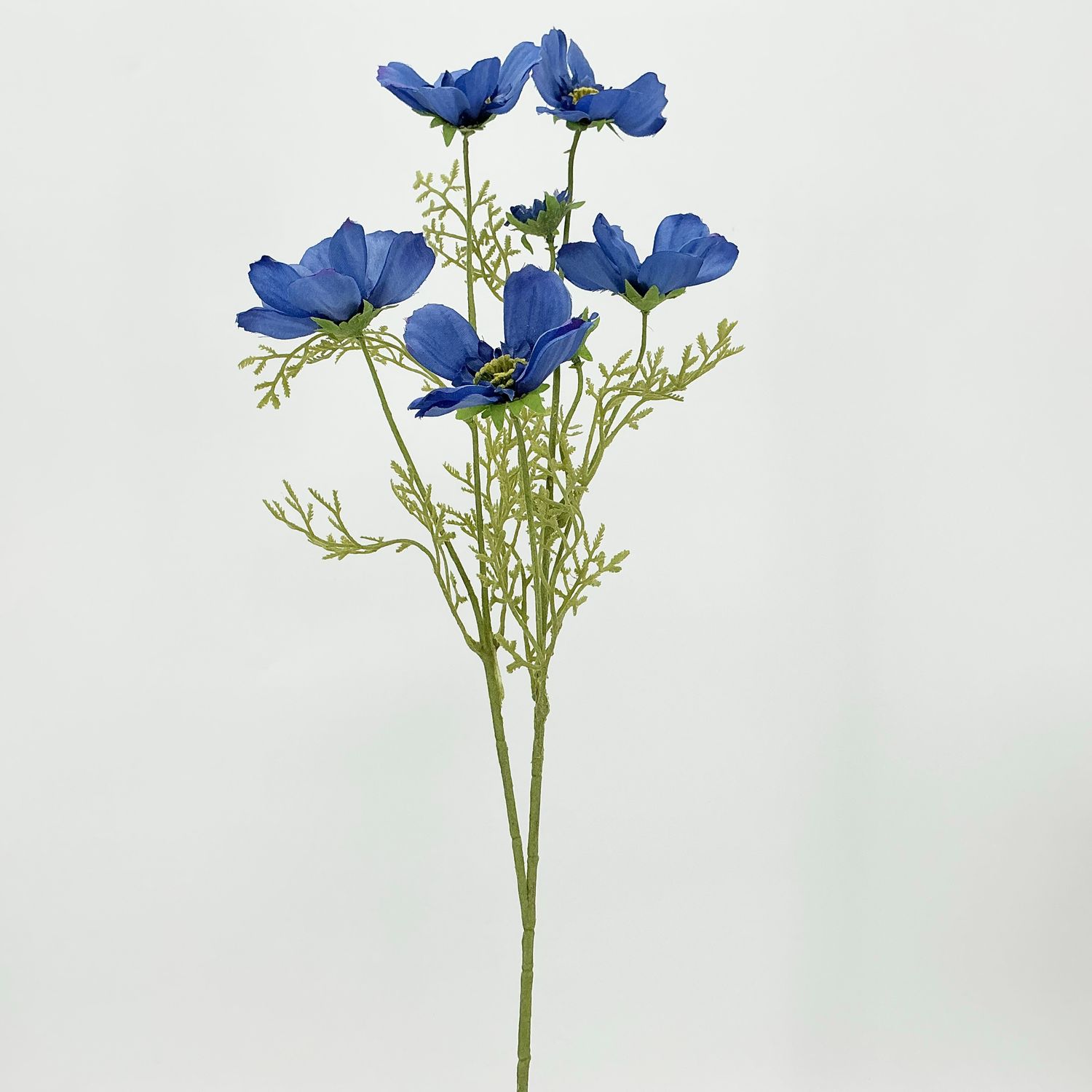 Cosmos - 27" - Blue