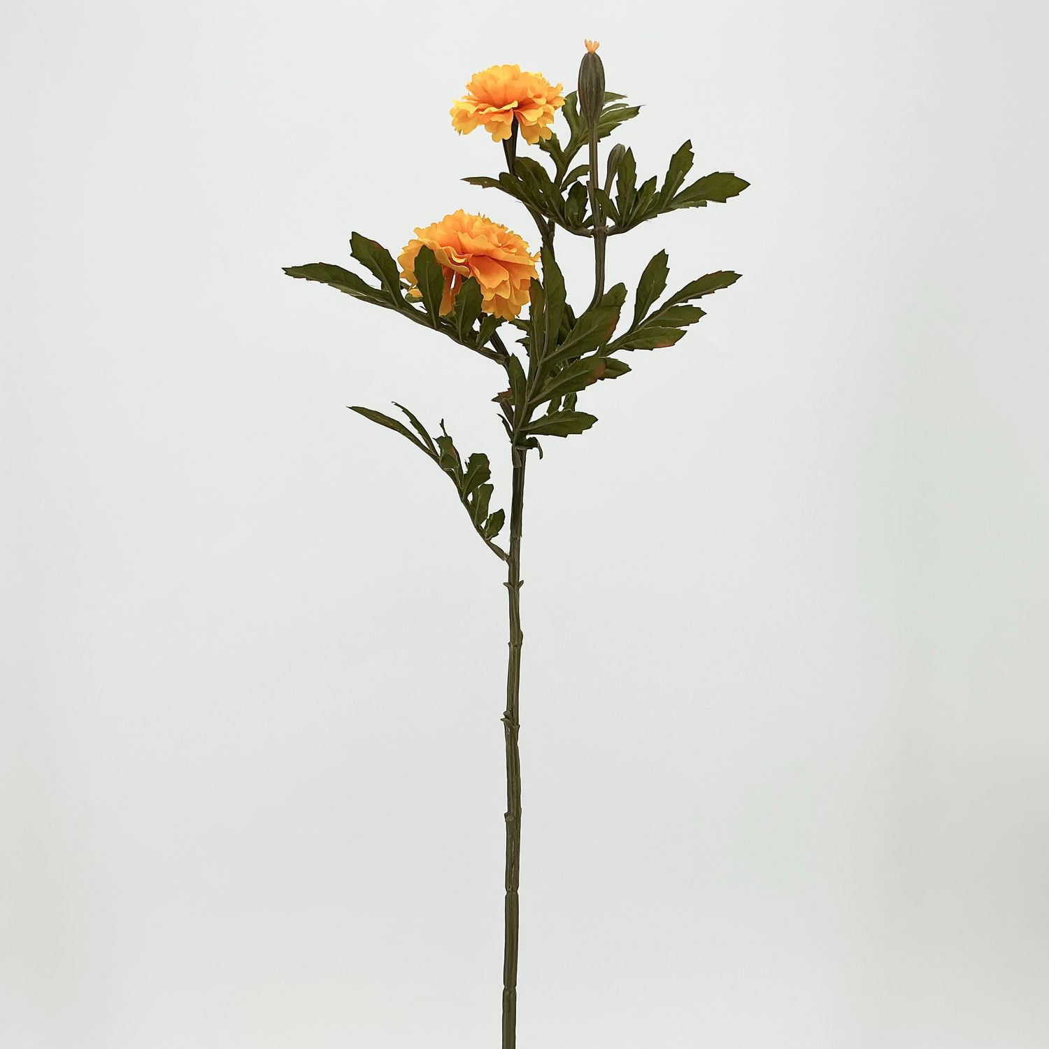 Marigold Stem - 22" - Yellow