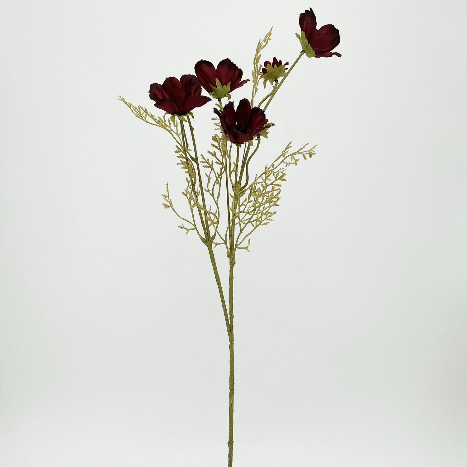 Cosmos Spray - 26" - Burgundy