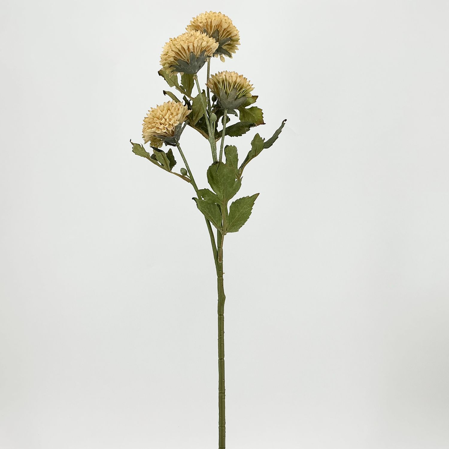 Dahlia Stem - 25" - Cream