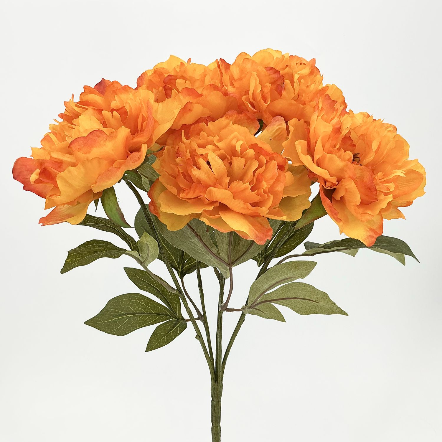 Peony - 19"X5 - 3 Styles