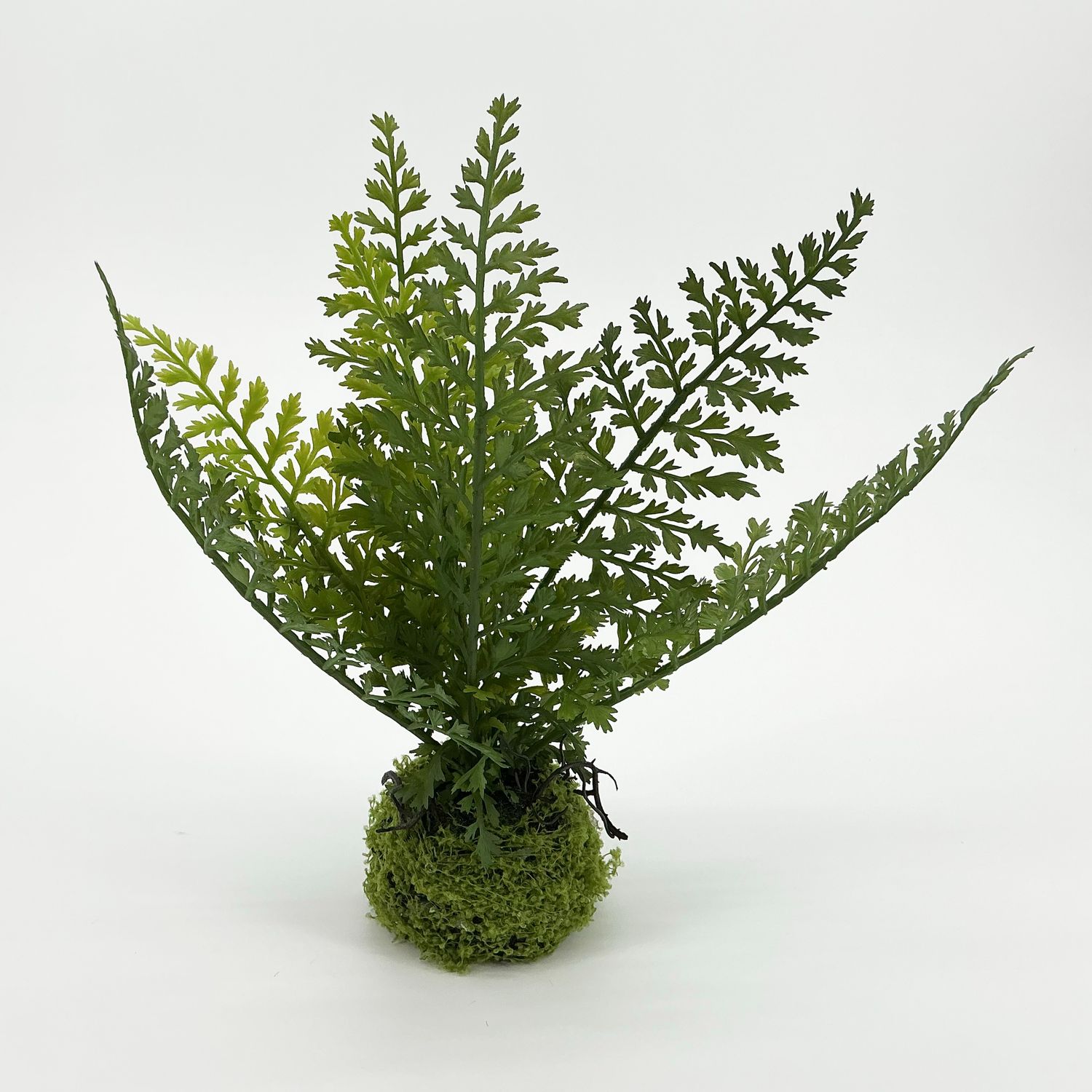 Fern - 9" - Small - 3 Styles