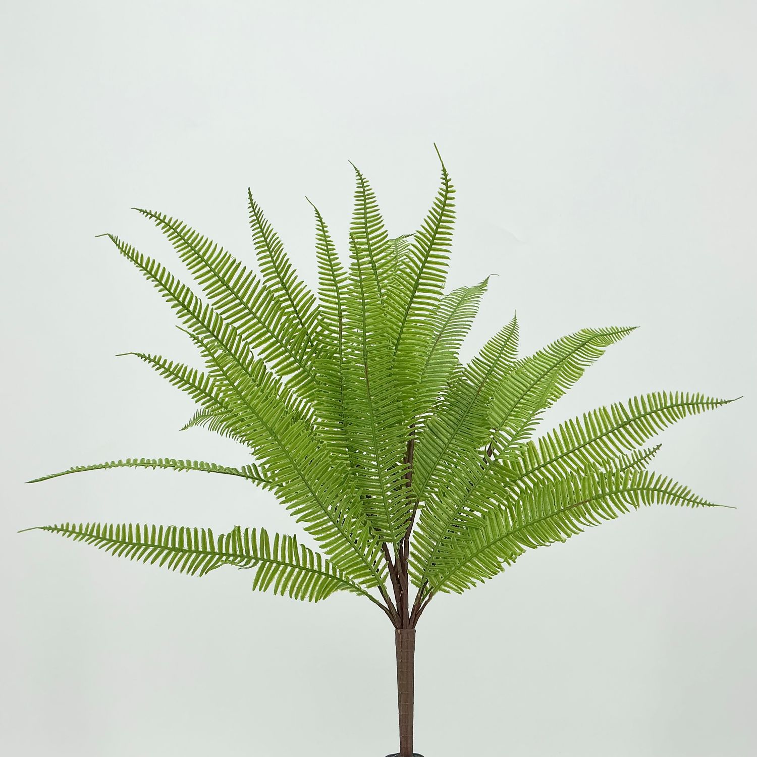 Feather Fern Bush - 19"