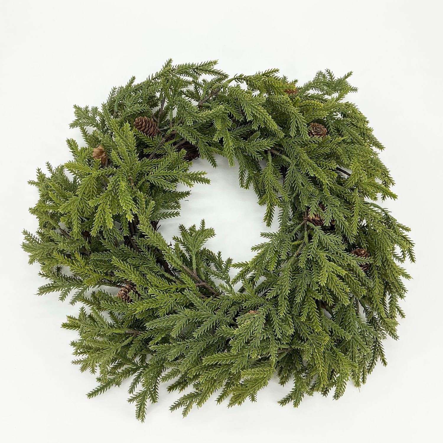 Colorado Spruce Wreath - 24"