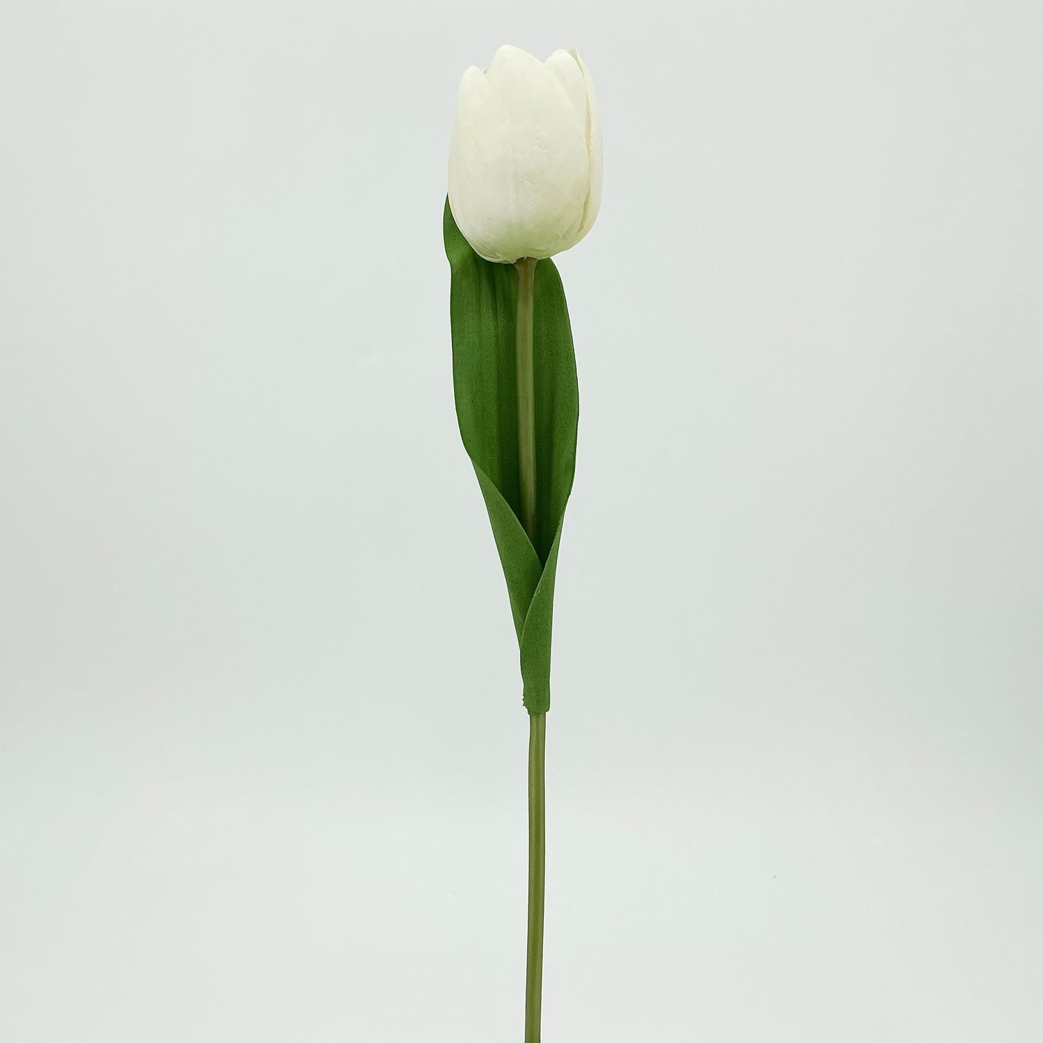 Tulip - 17.5" - Cream
