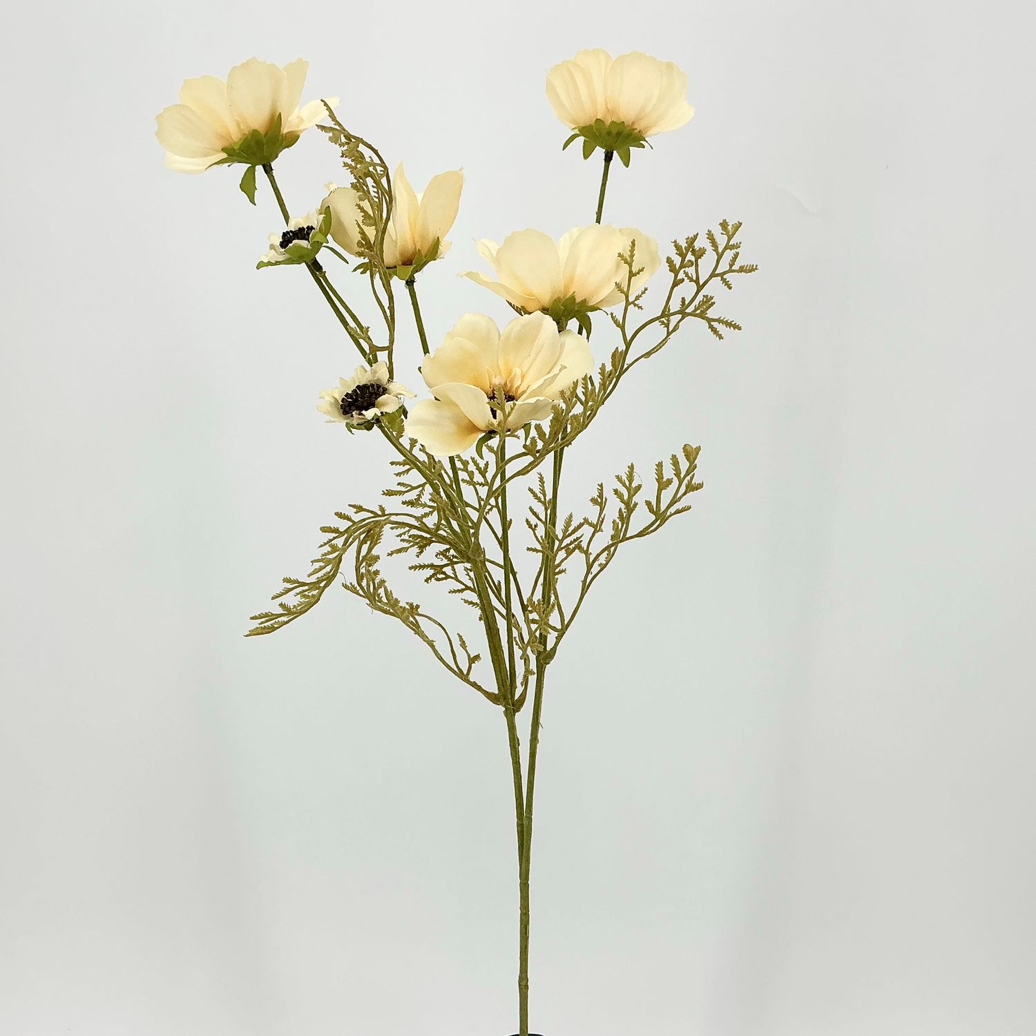 Cosmos Spray - 26" - Cream