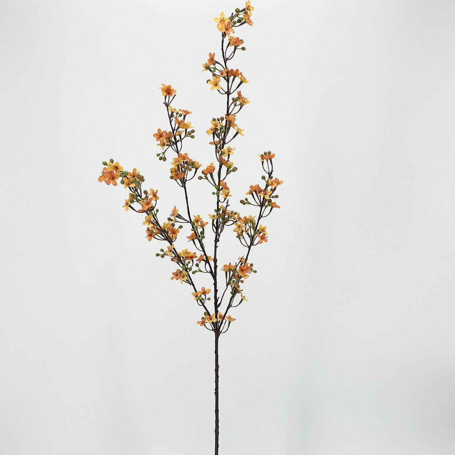 Wildflower Bundle - 33" - 3 Styles