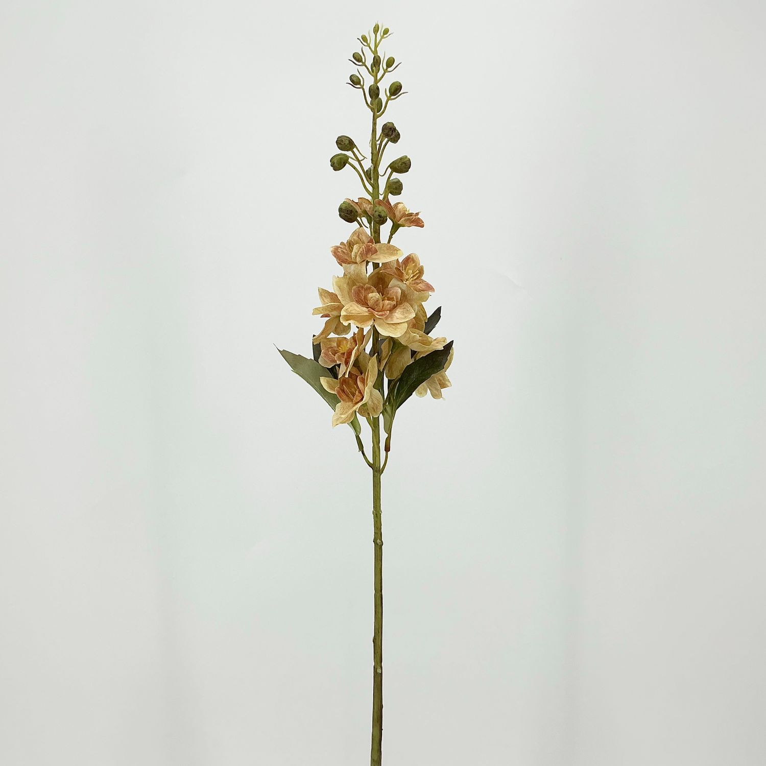 Delphinium Stem - 26" - 2 Styles