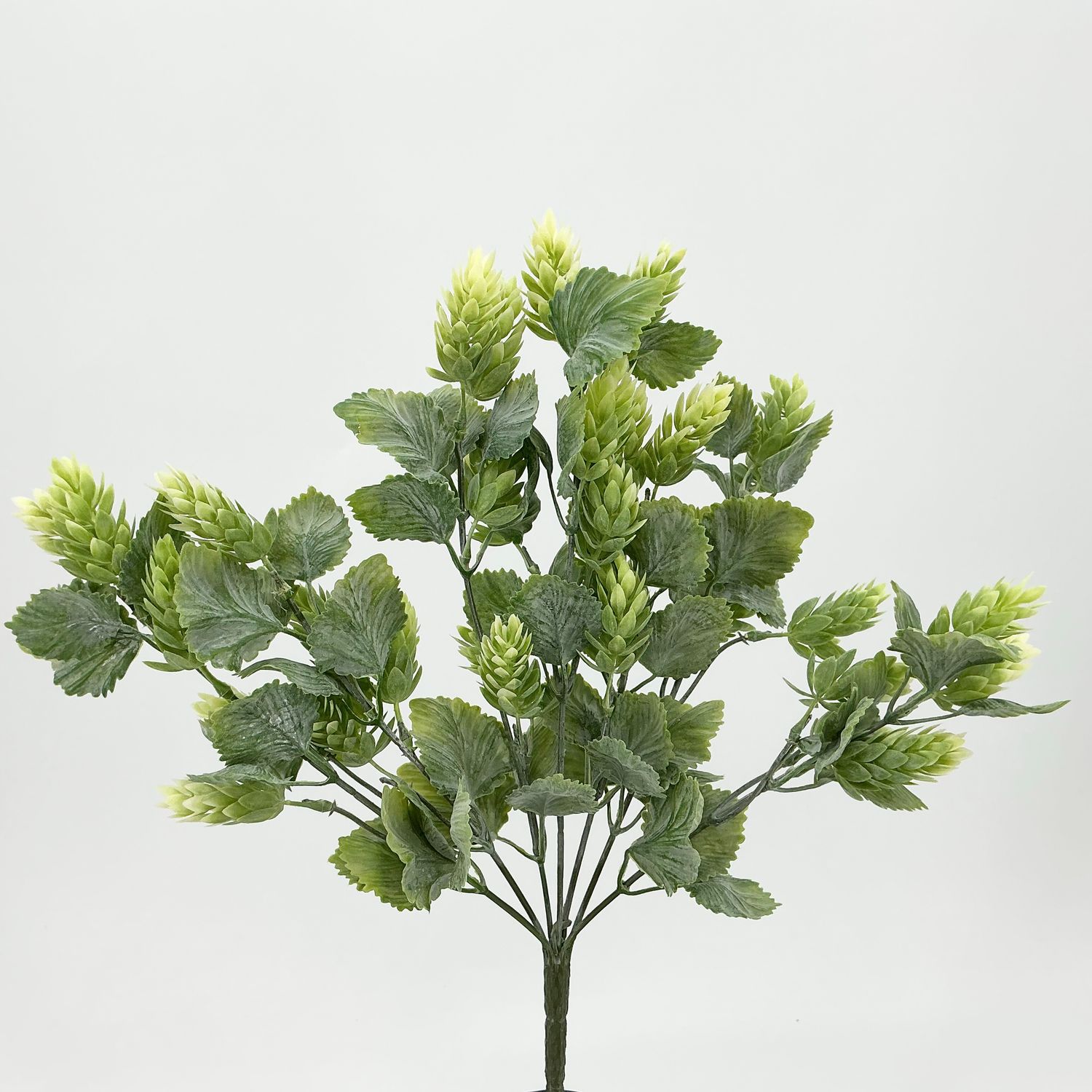 Hops Spray - 15" - Cream