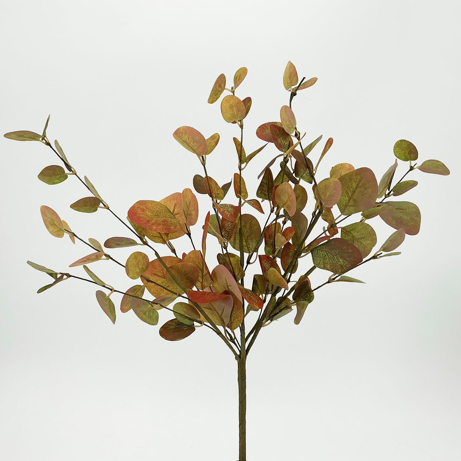 Euclaiptus Bush - Small - Green Orange Rust