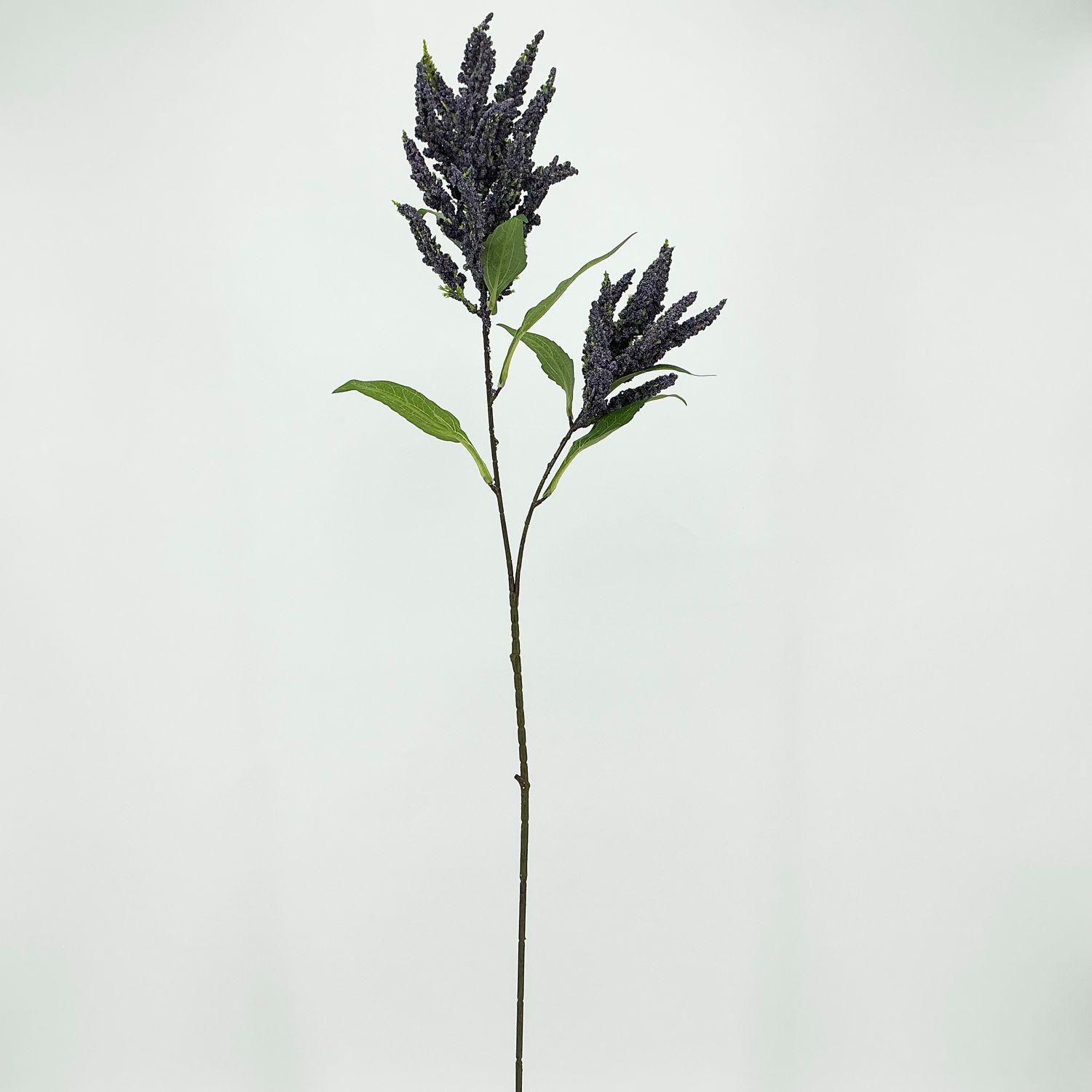 Astilbe Stem - X2 - Purple