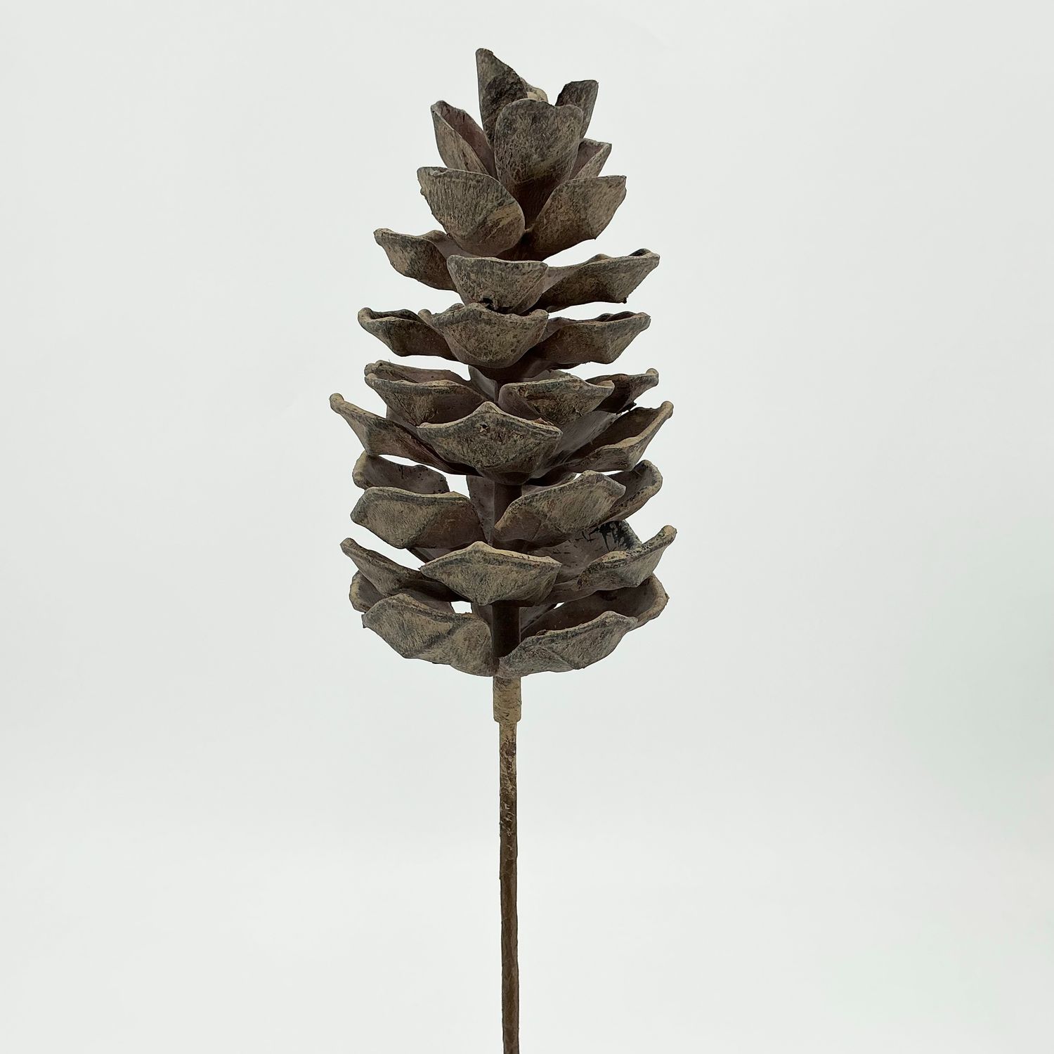 Pine Cone Pick - 6" - Outdoor - Natural
