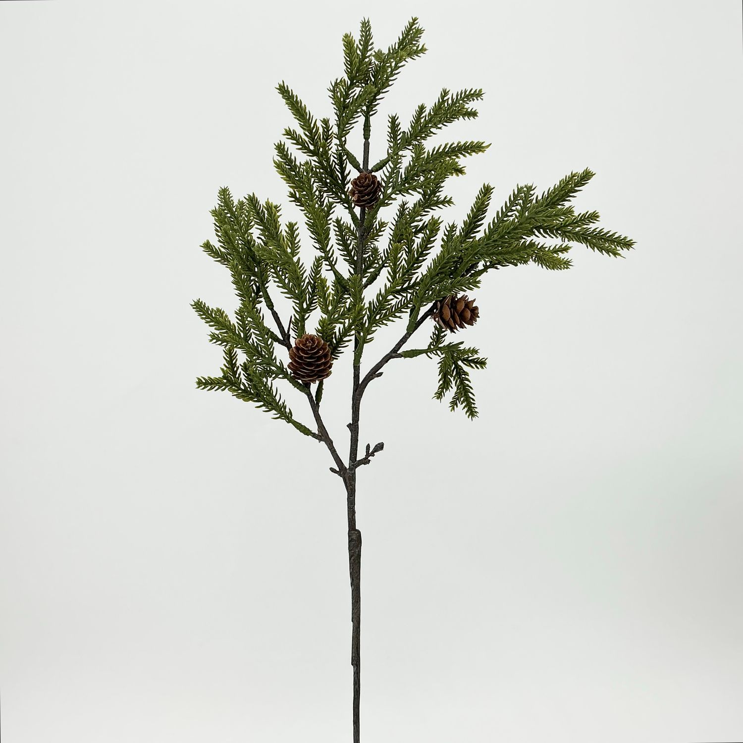 Colorado Spruce Pick - 21"