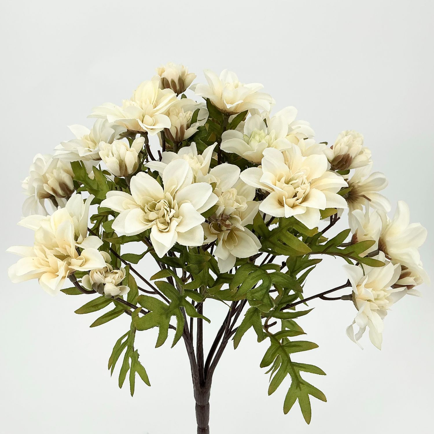 Mum - X 5 - Cream