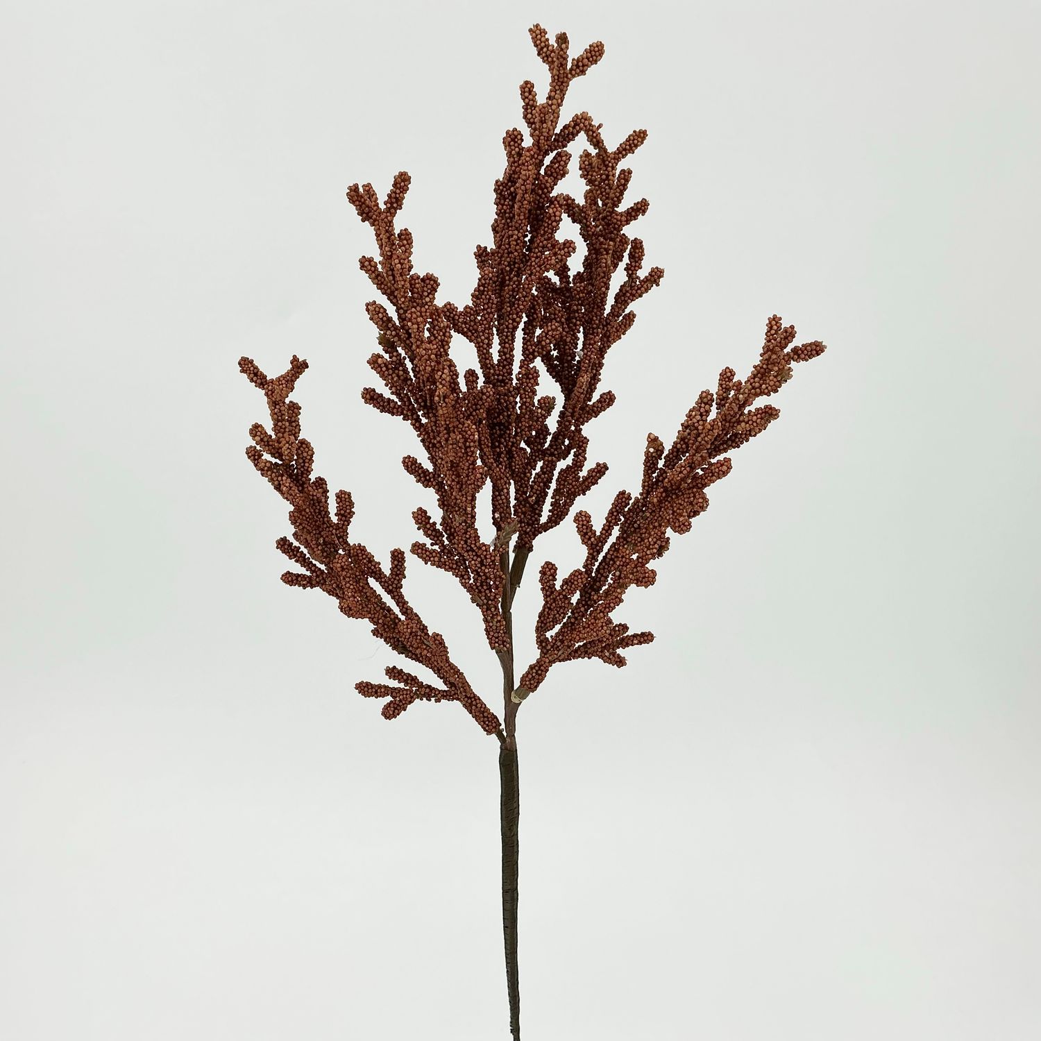Astilbe - X6 - 3 Styles