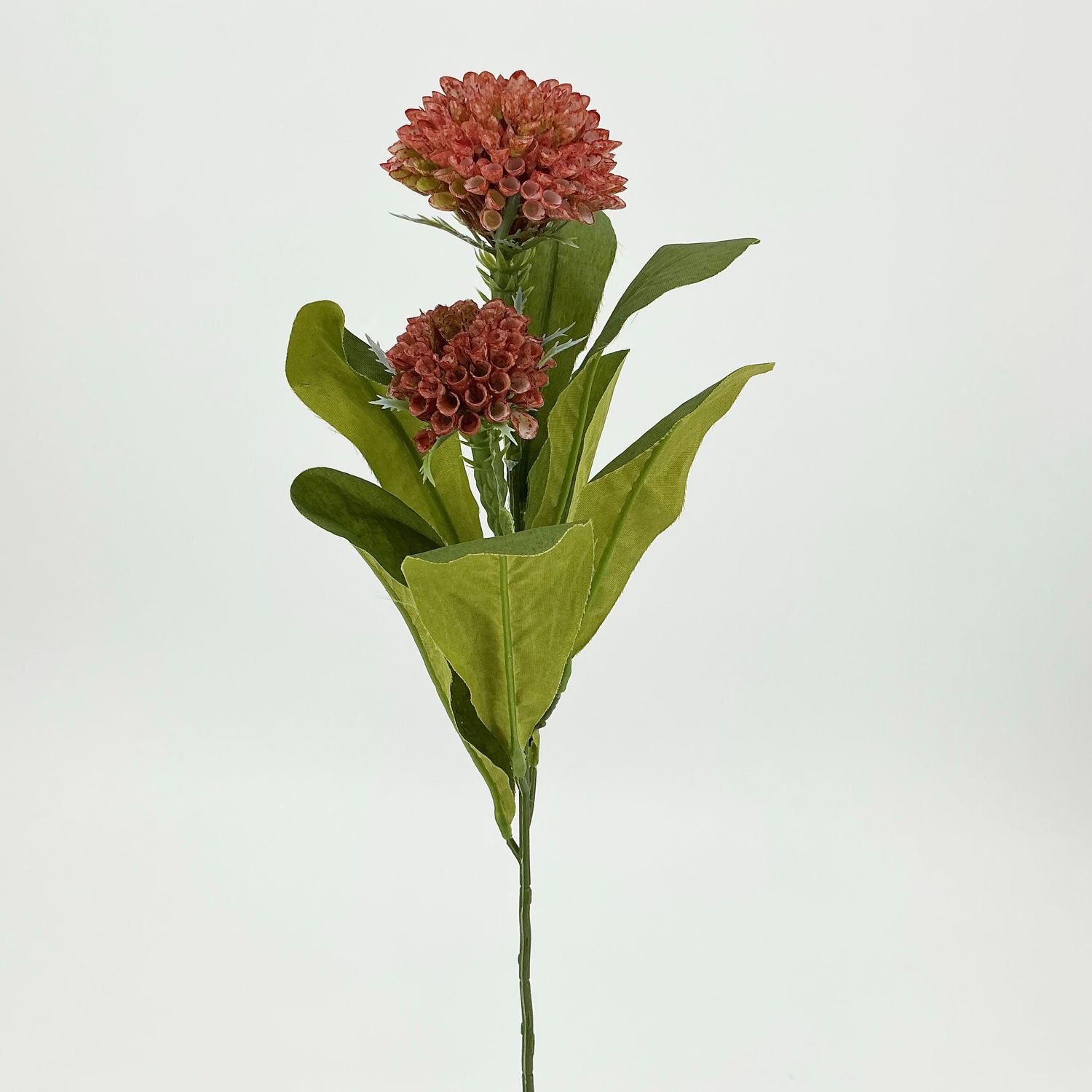 Dahlia Stem - 18" - Rust