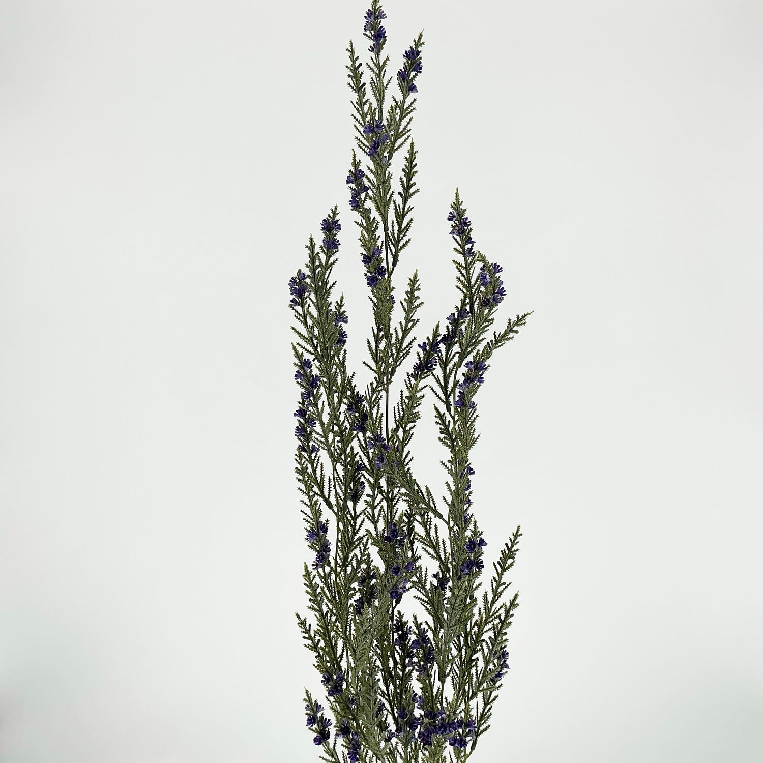 Hg Blossom - 33" - Purple