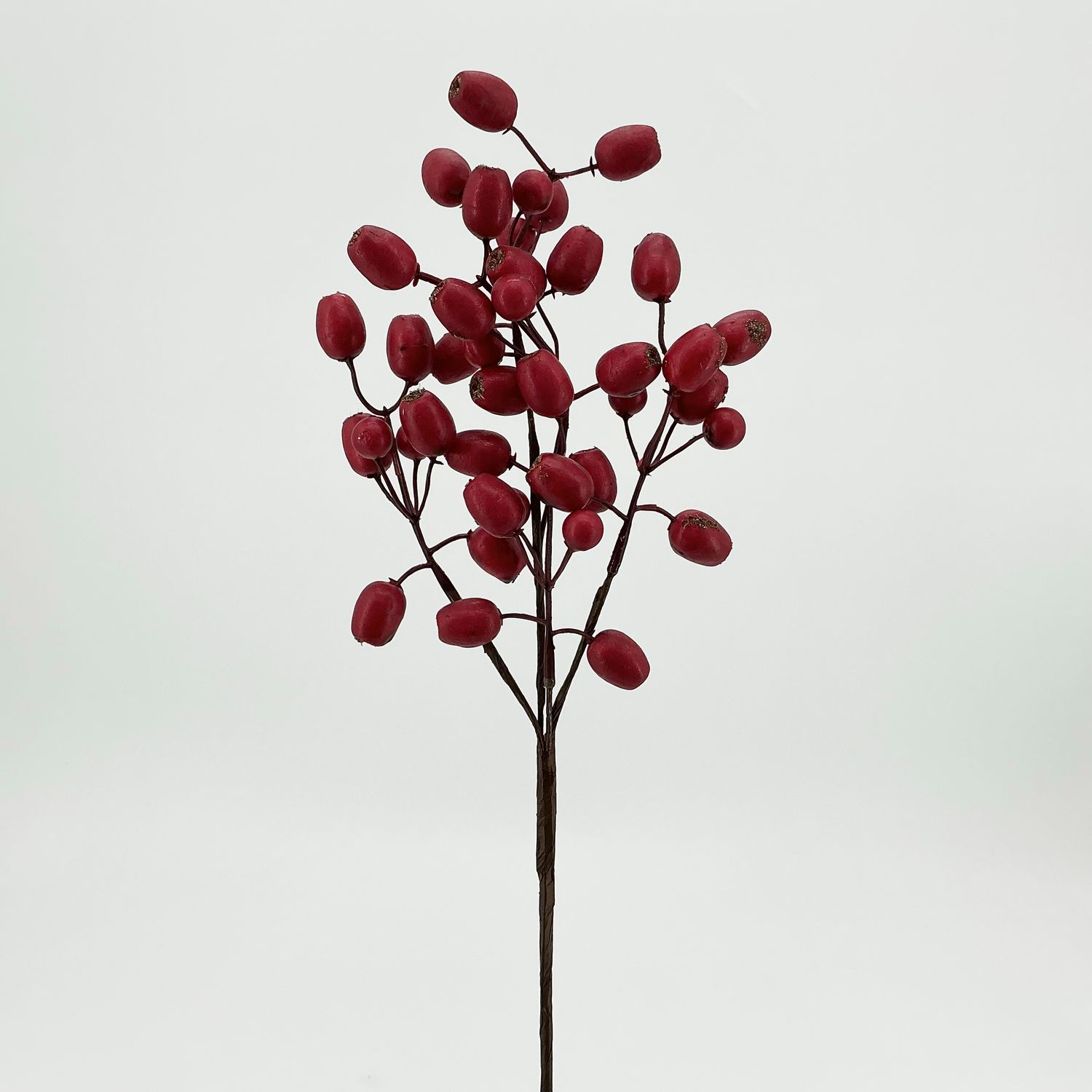 Berry Pick Outdoor - 17" - Matte Red