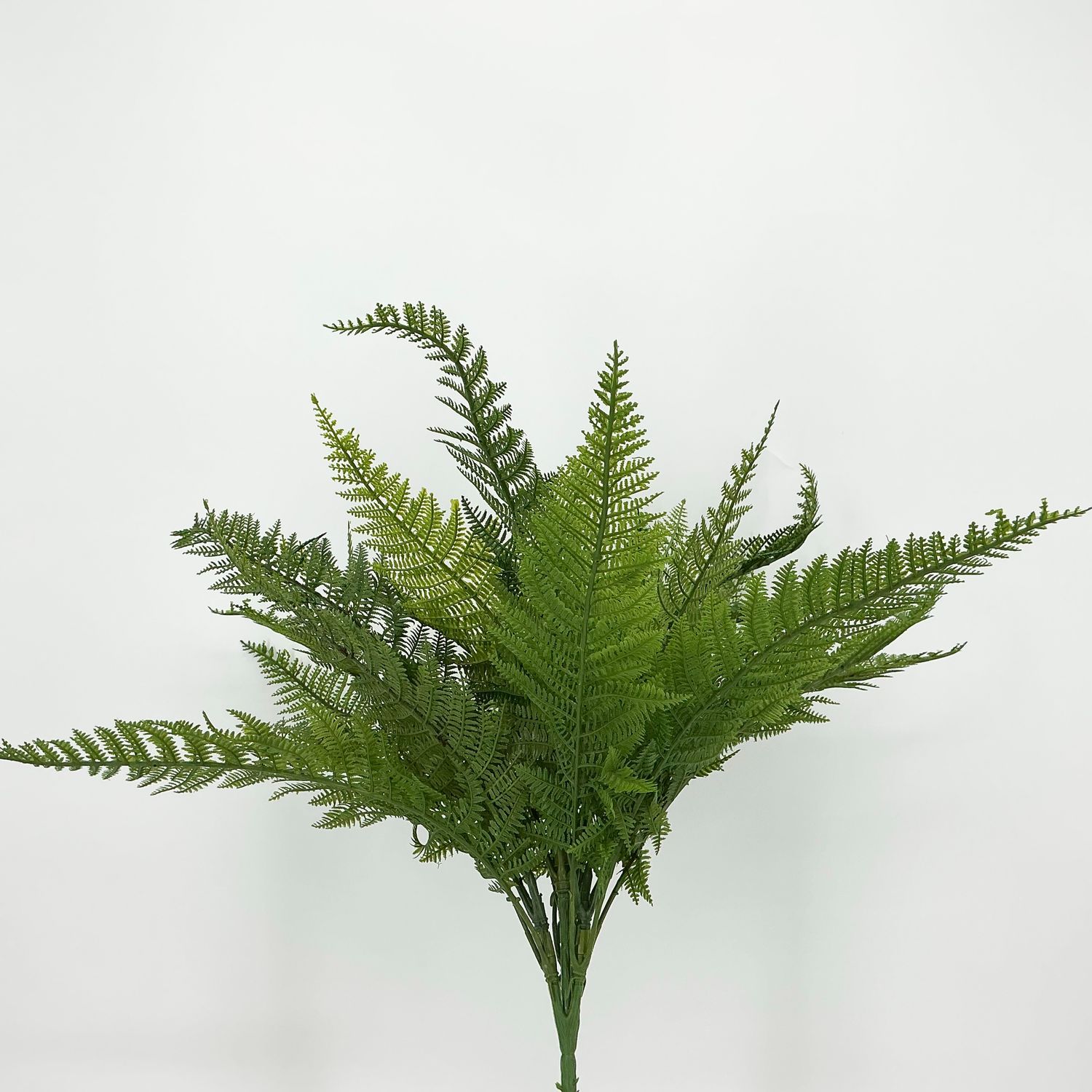 Fern Stem - 22" - Medium