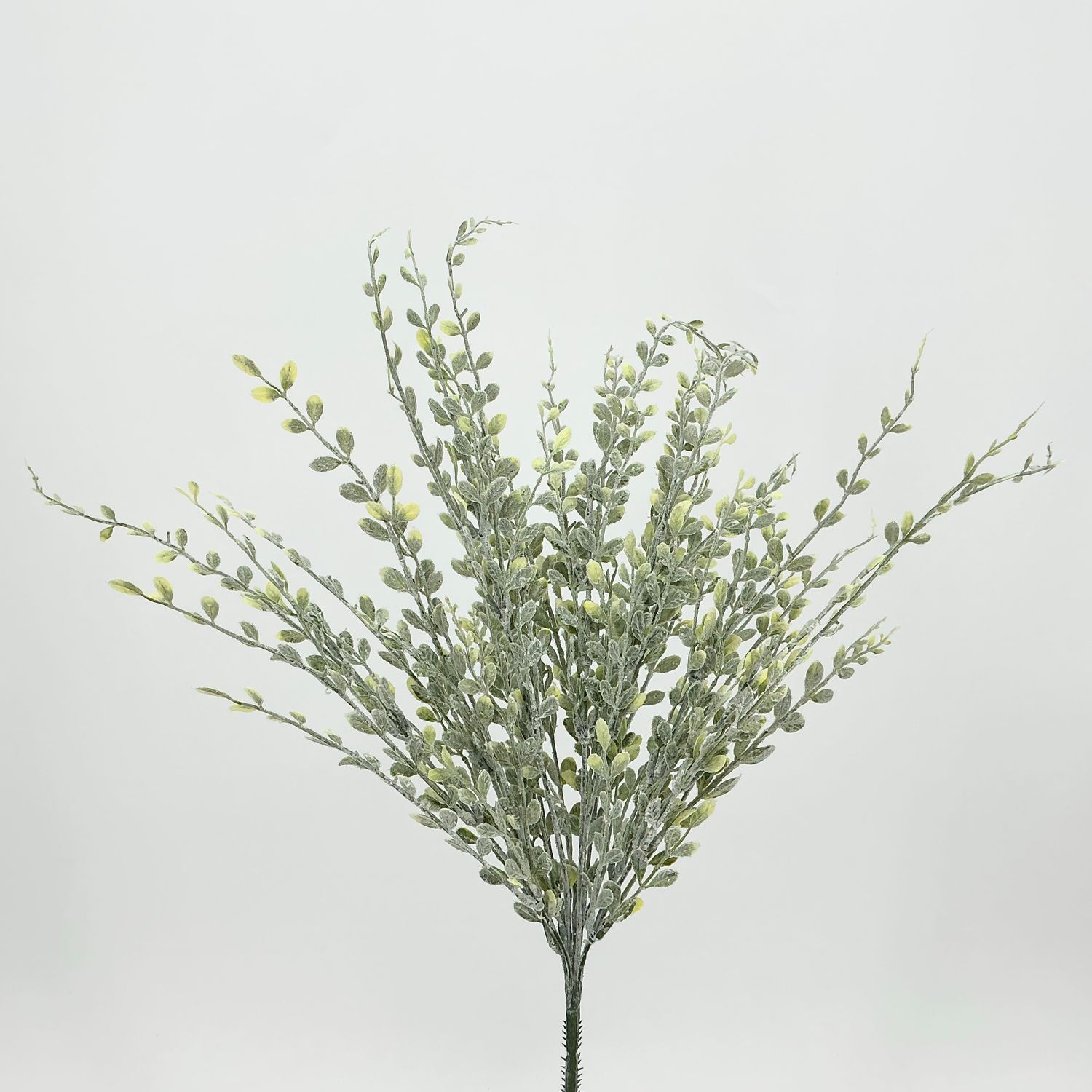 English Box Stem - 24"