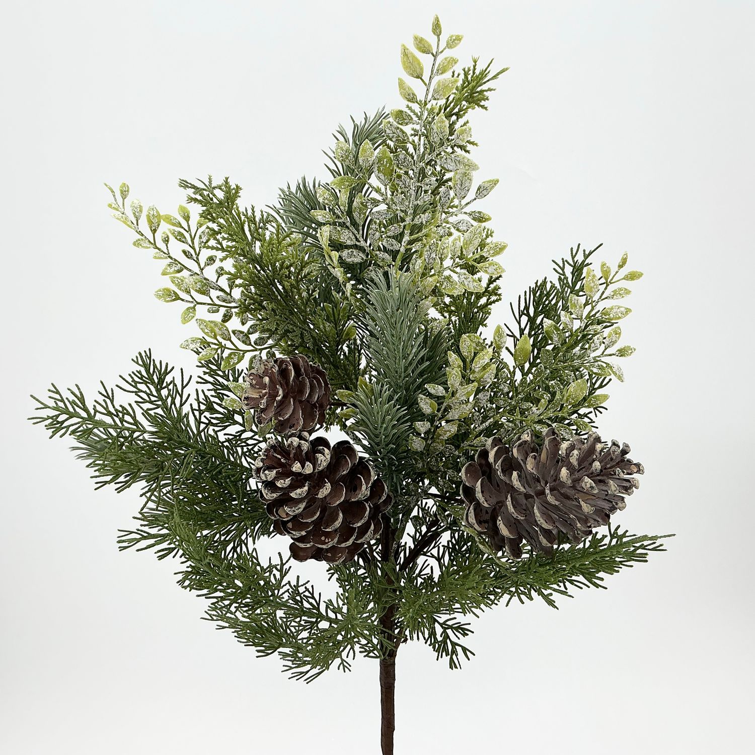Norfolk Bush - 21"