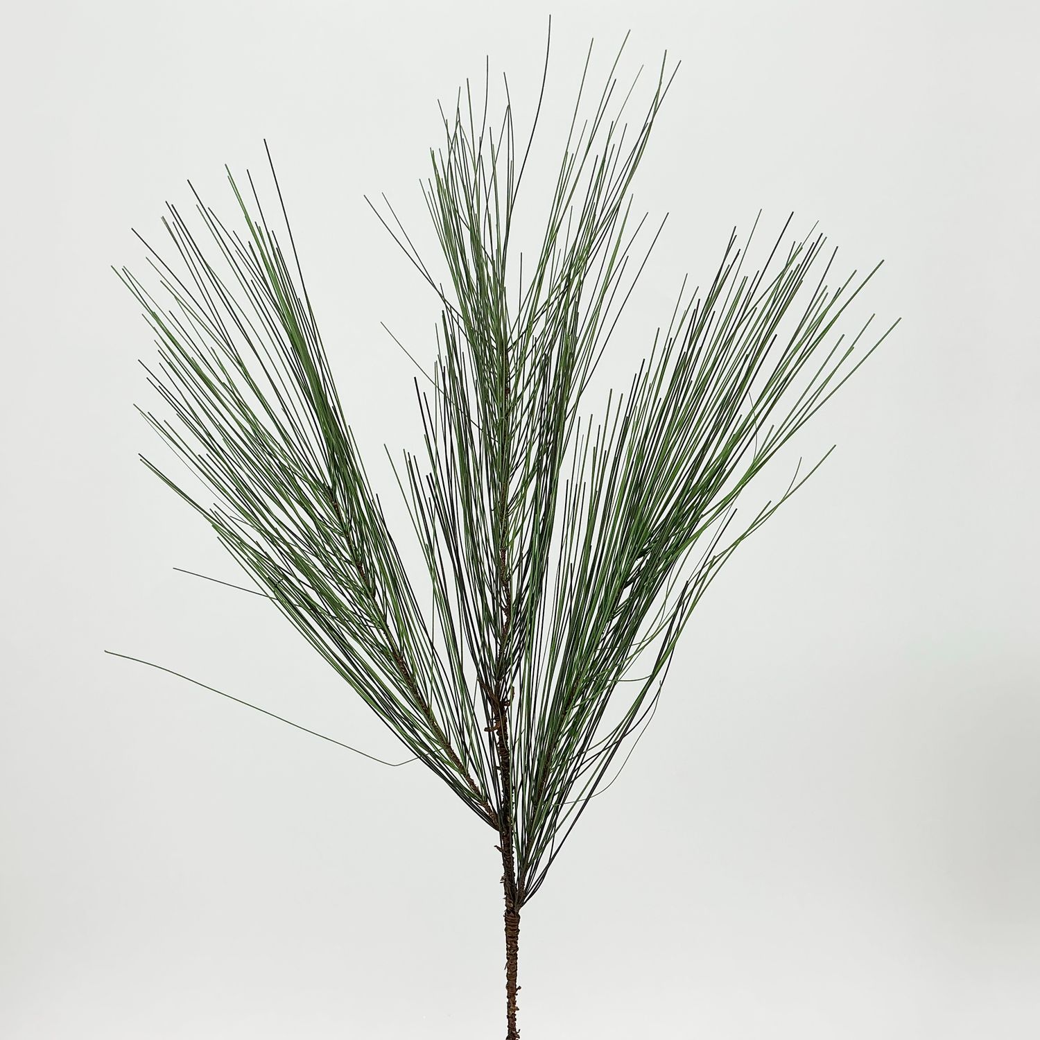 Long Needle Pine Spray - 23"X3