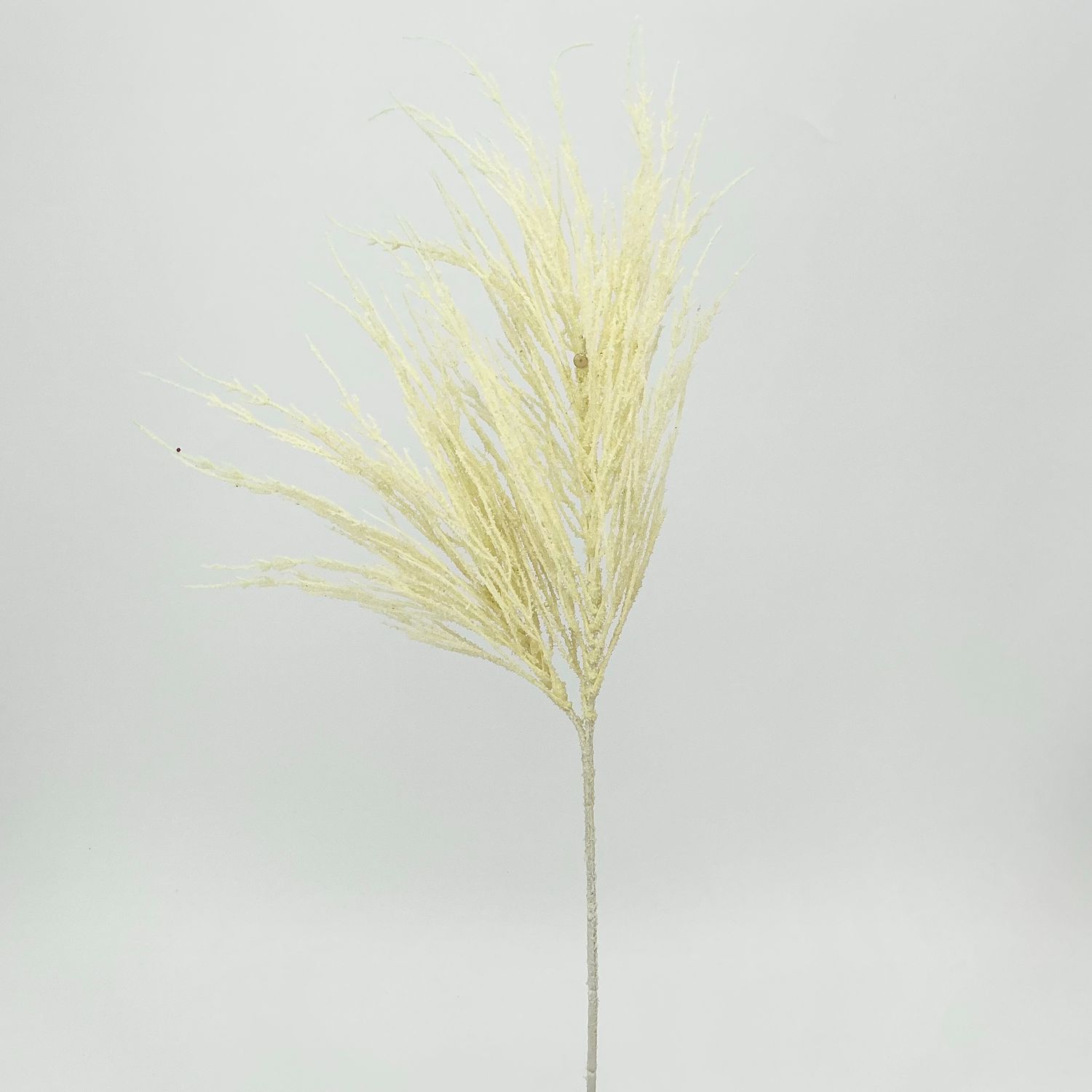 Pampas Grass - 26" - Yellow