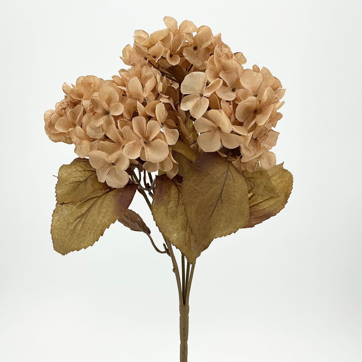 Hydrangea Bush - 16"X5 - Beige