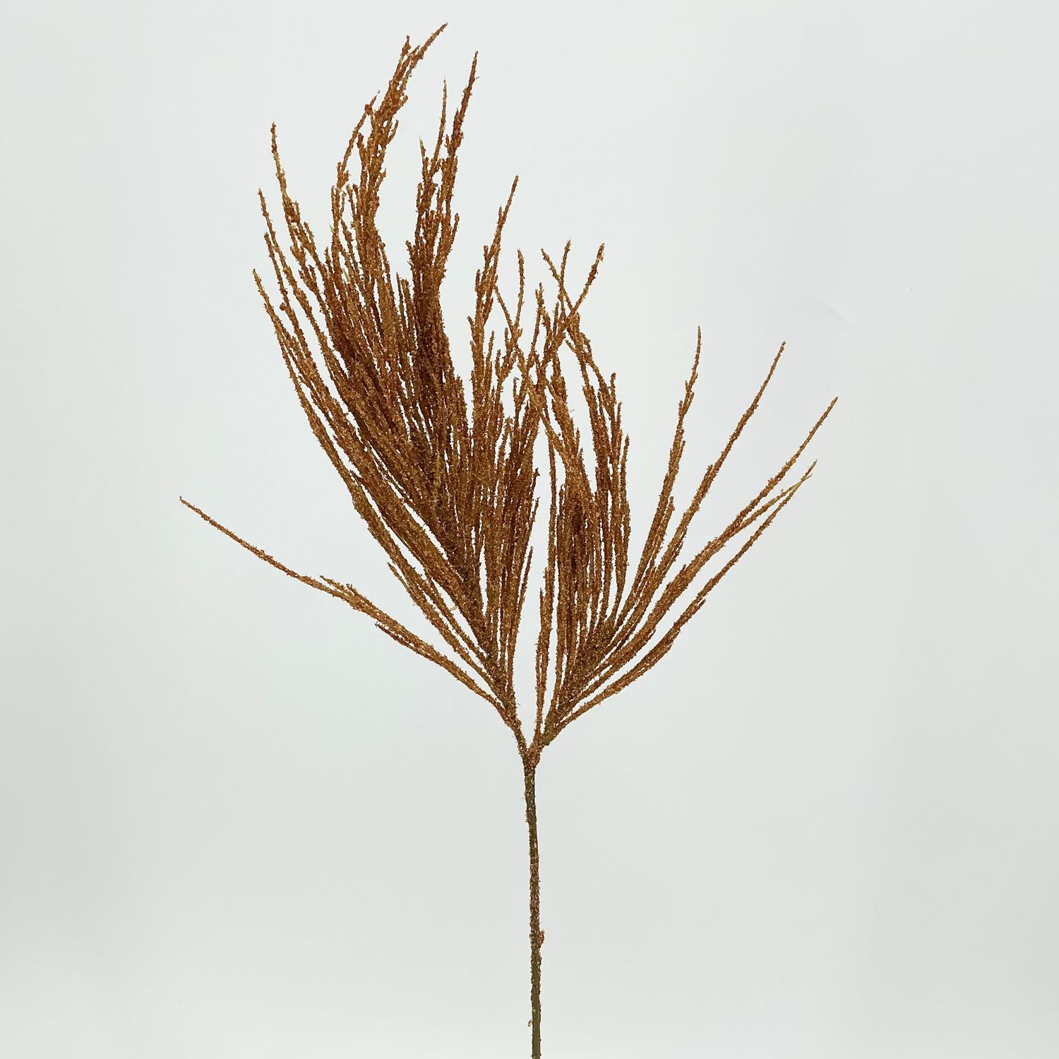 Pampas Grass - 26" - Rust