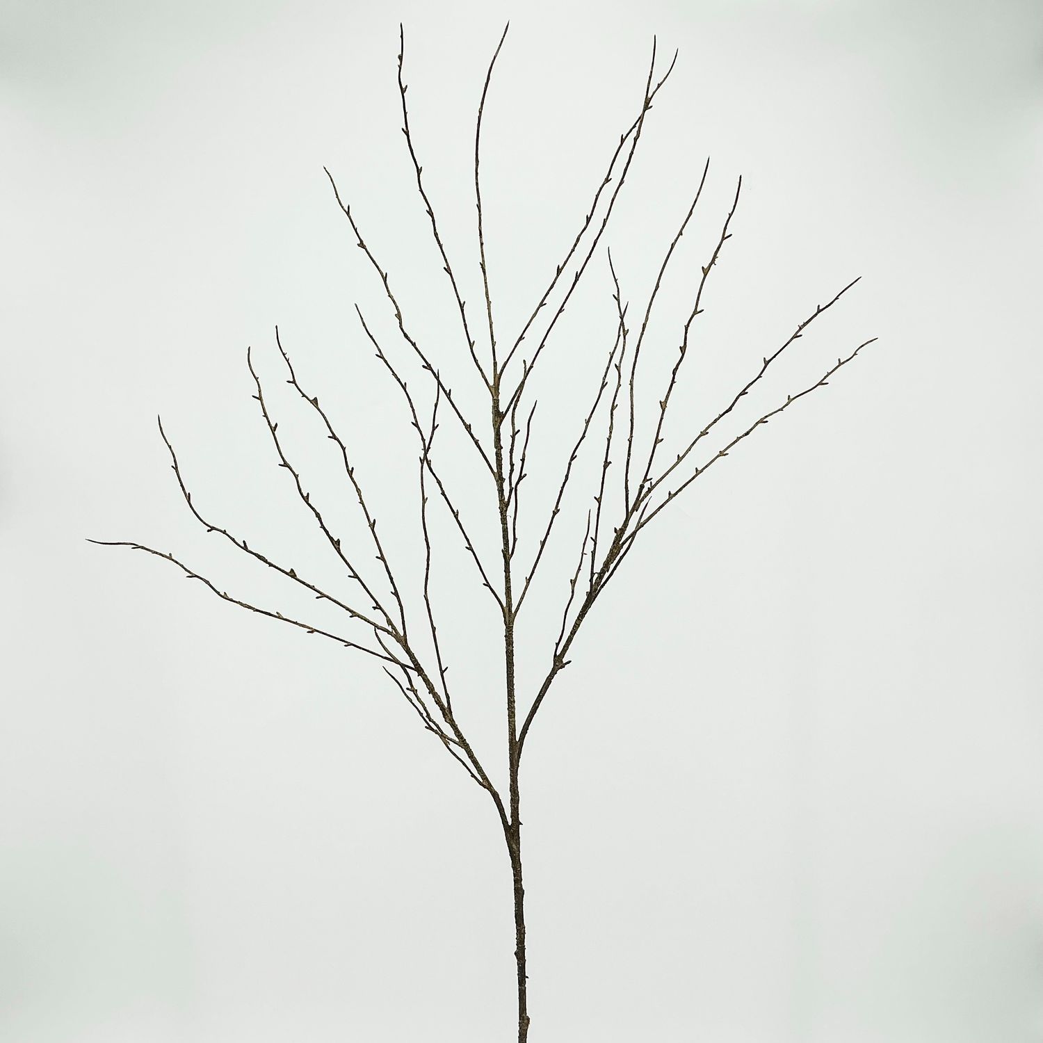 Twig Stem - 39" - Grey