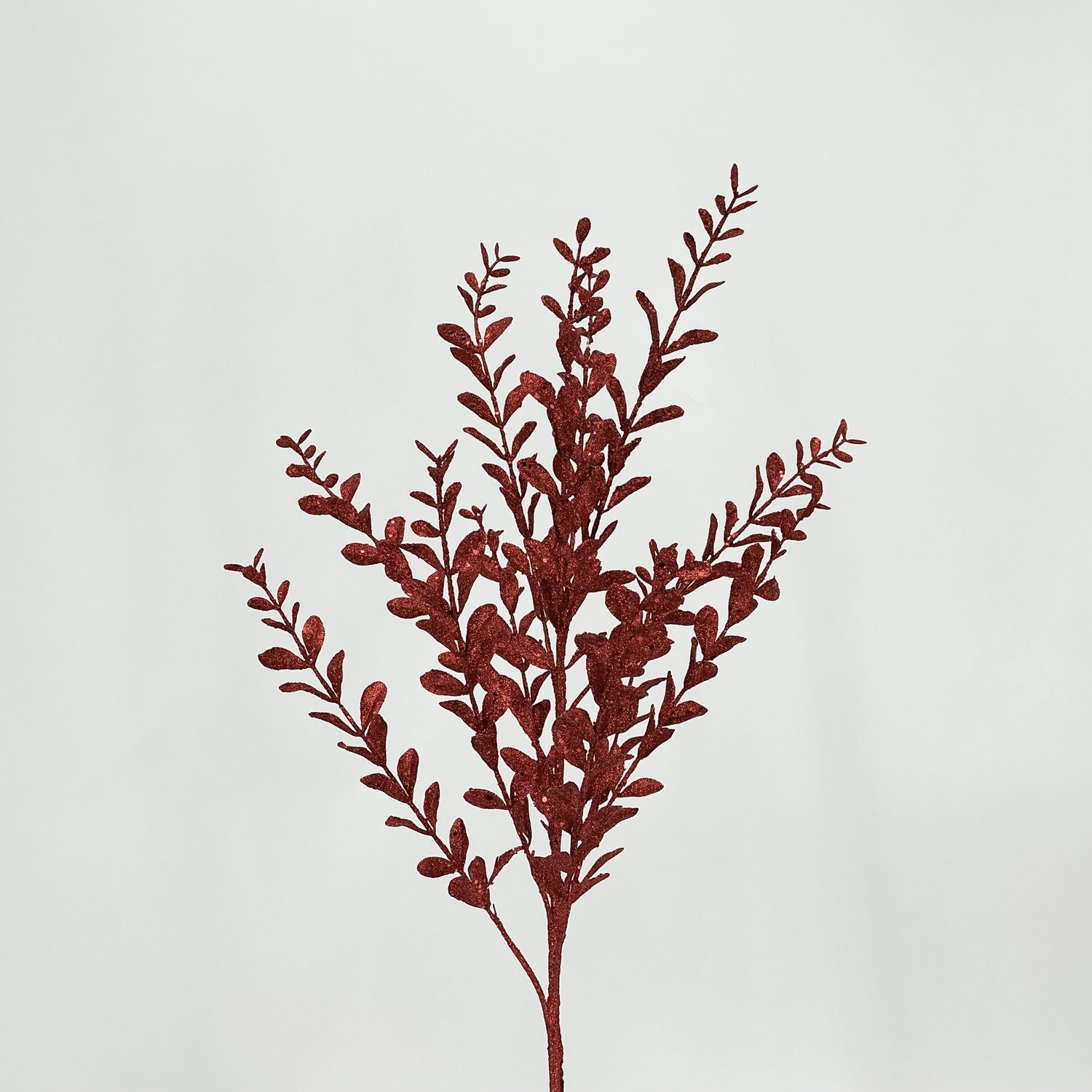 Boxwood - X12 - Red