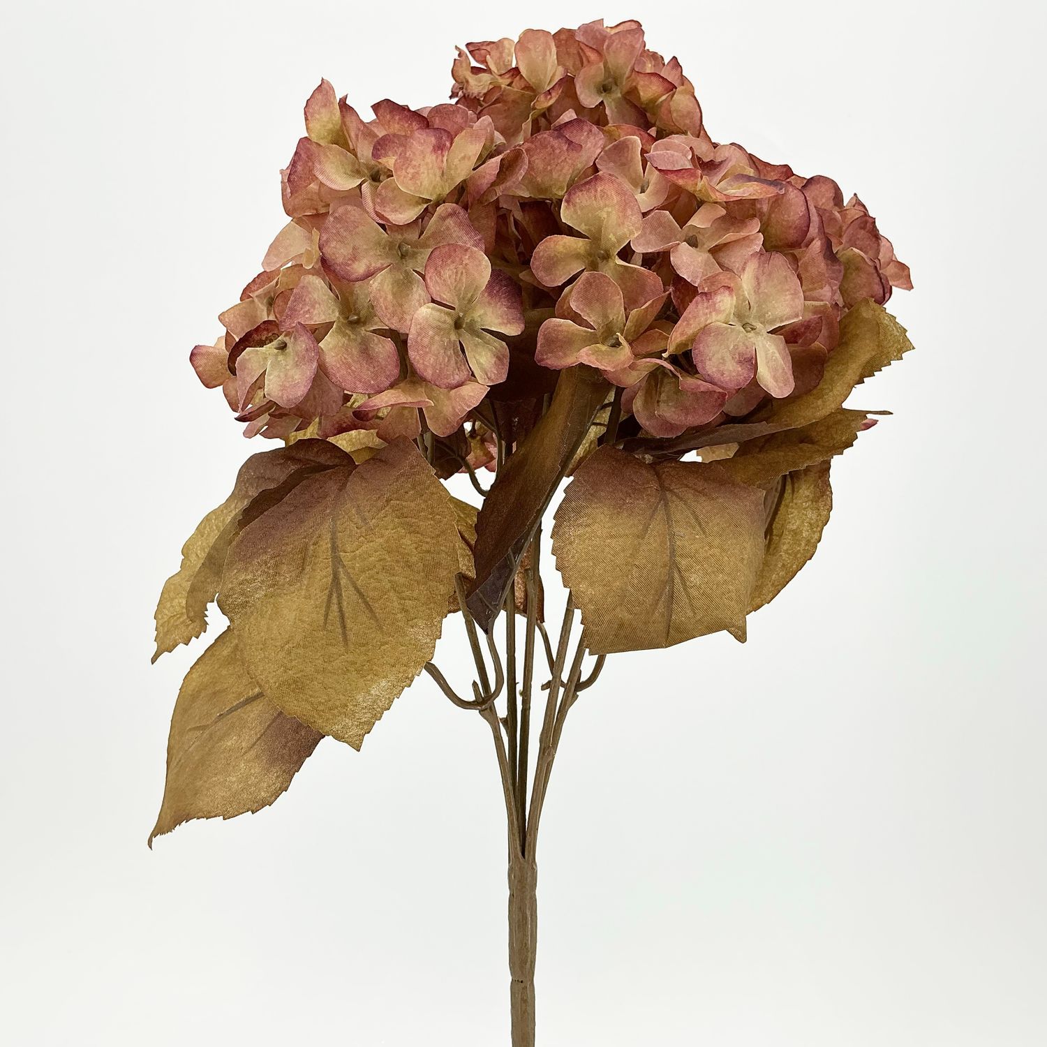 Hydrangea Bush - 16"X5 - Rose