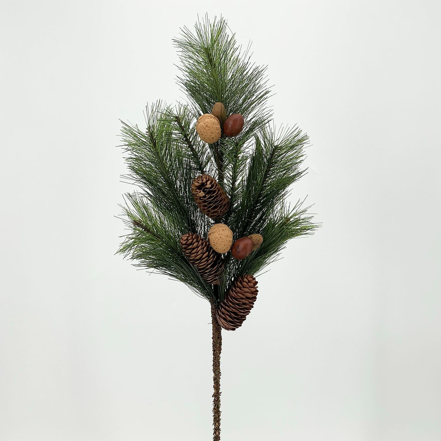 Acorn Spray