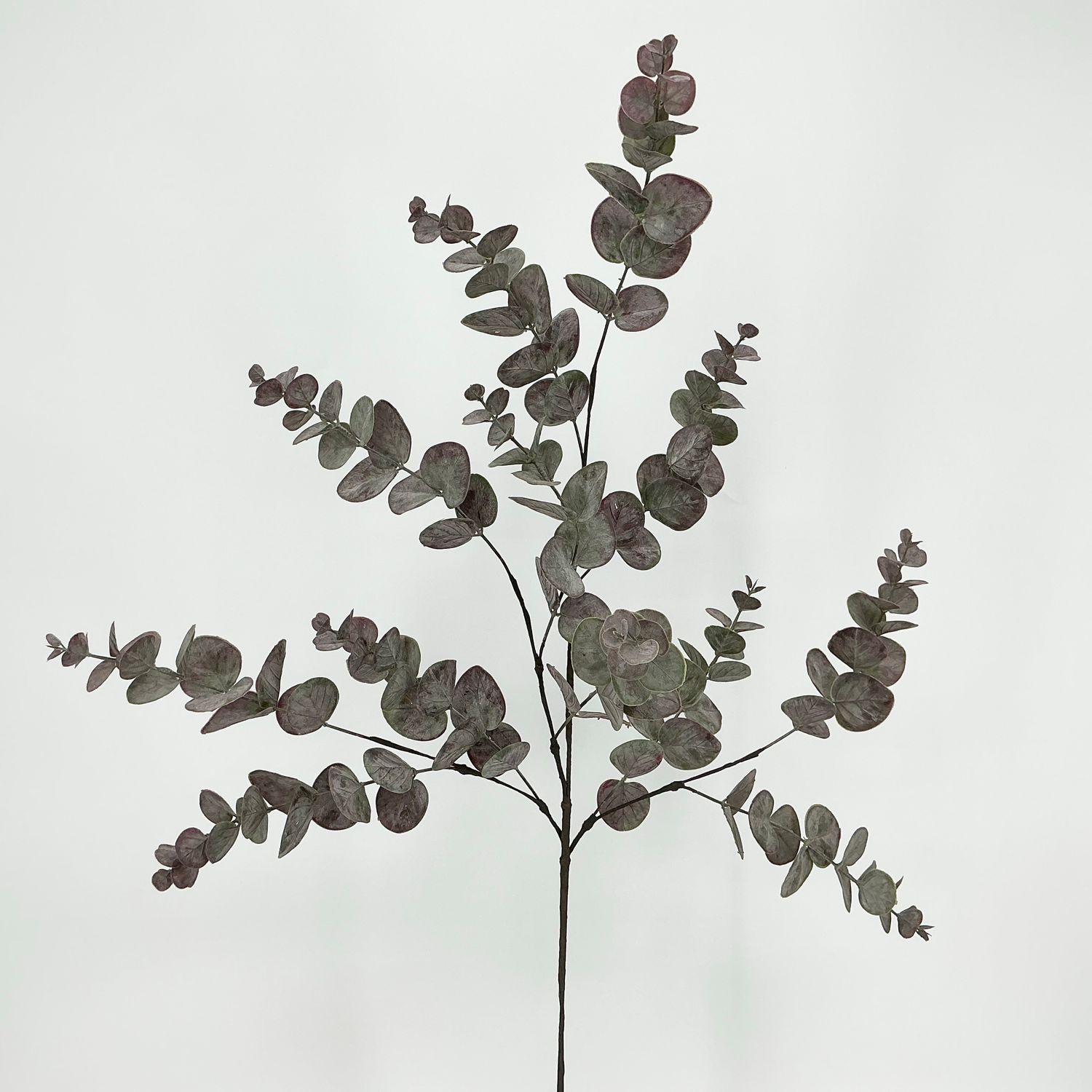 Eucalyptus Spray - Burgandy