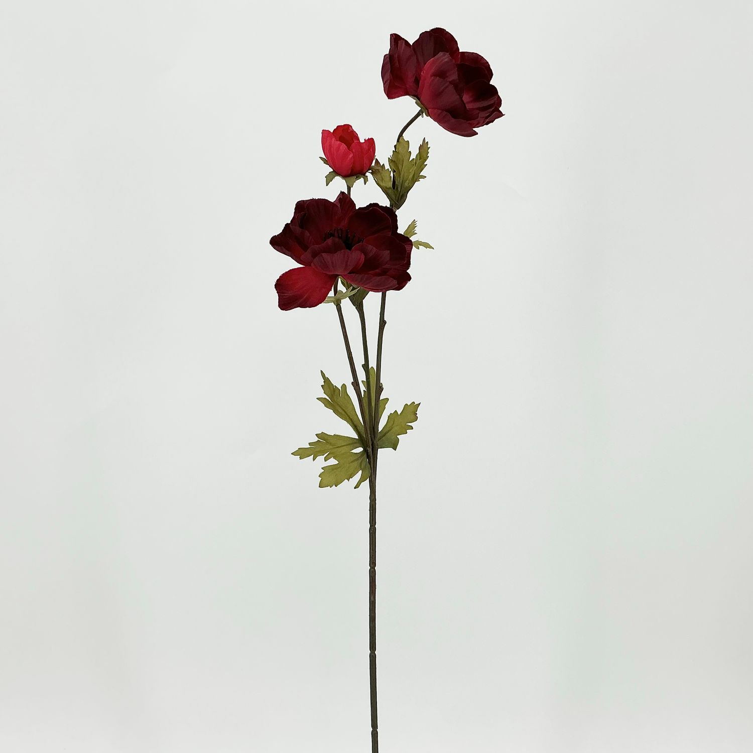 Anemone - 26" X3 - Burgundy