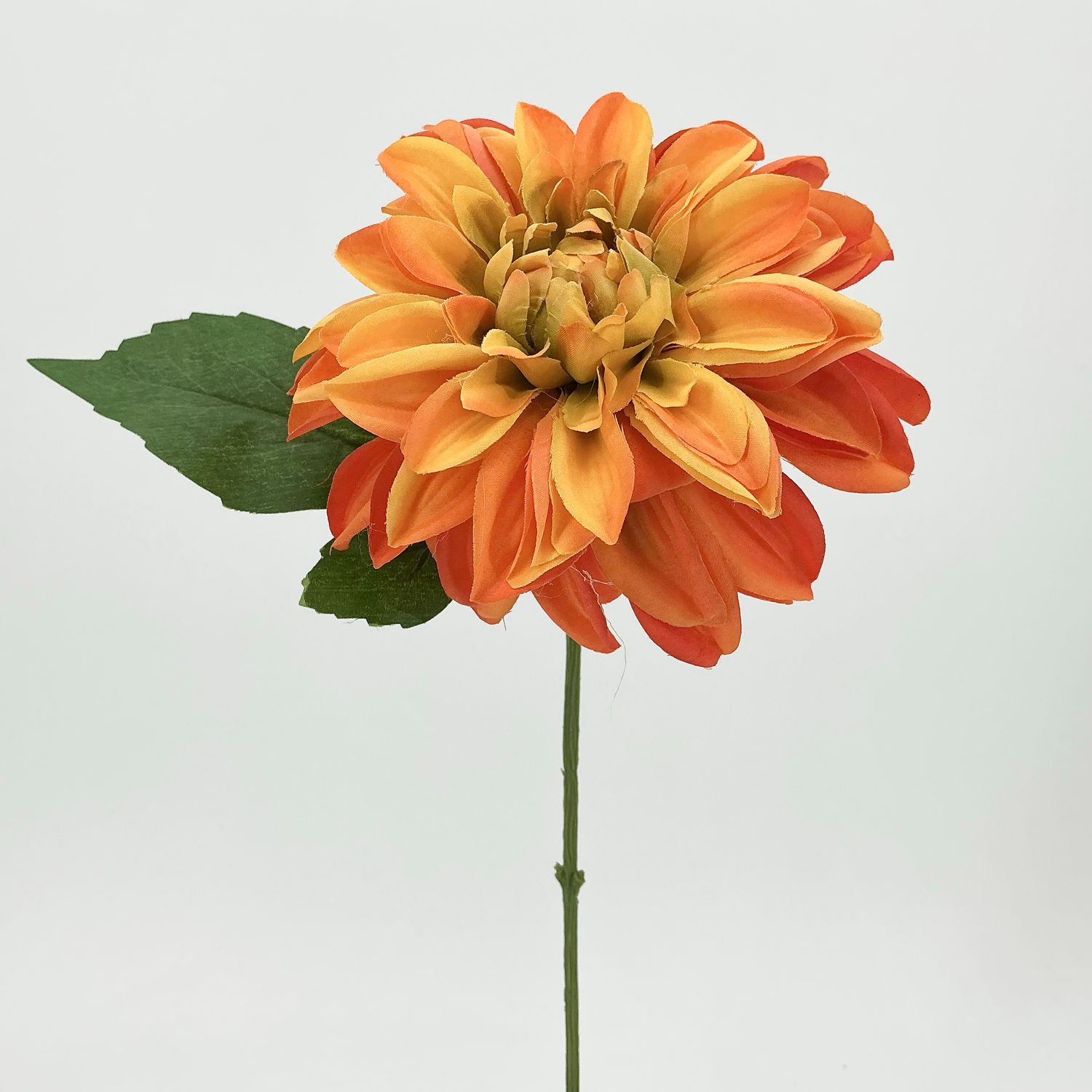 Dahlia Short Stem - 13" - Coral