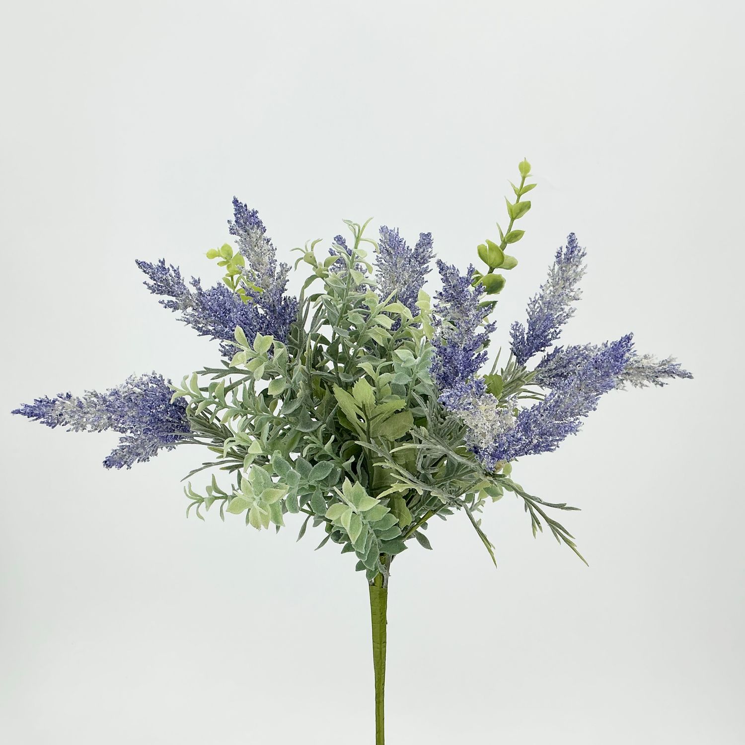 Field Grass Lvs Bush - Blue